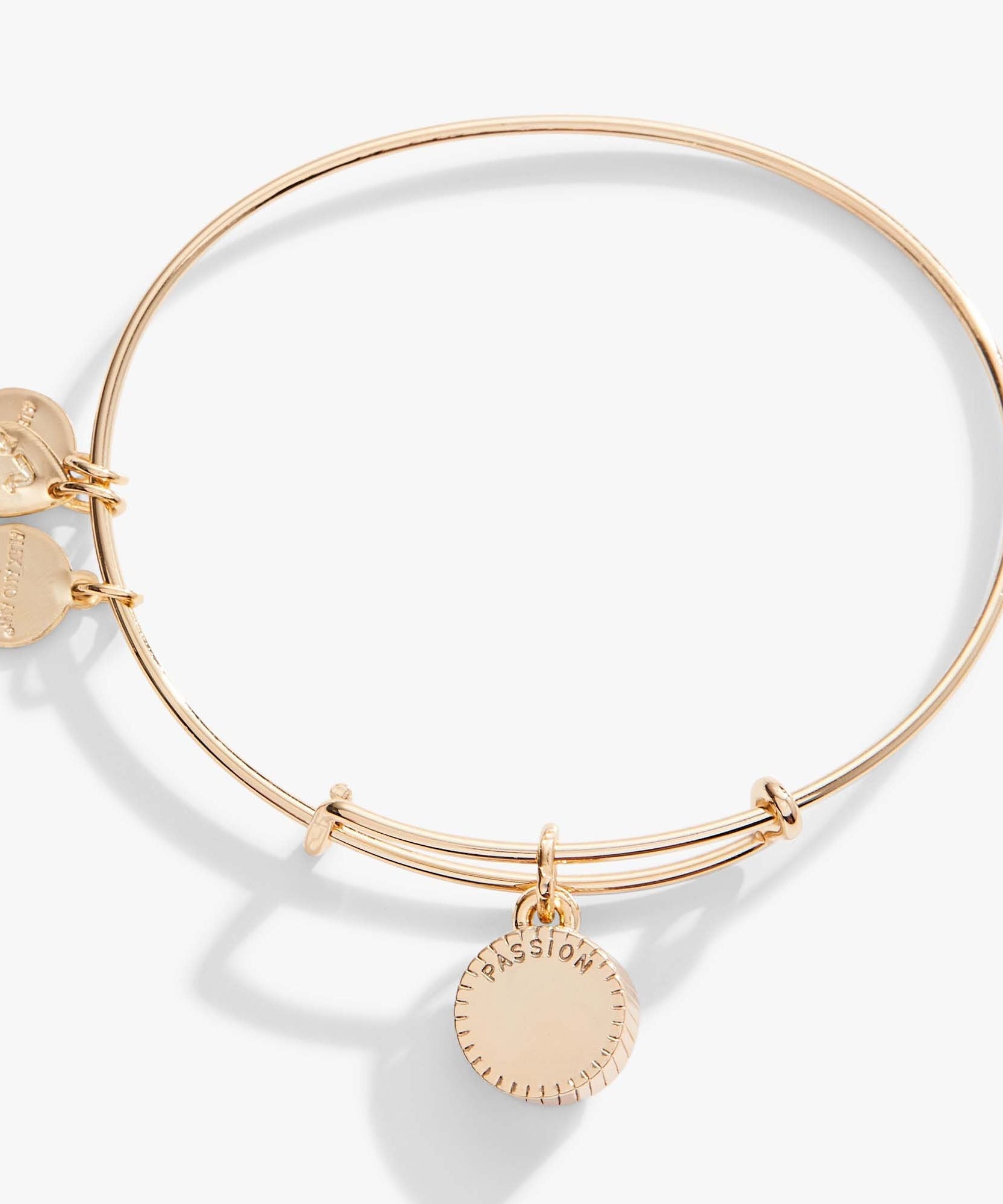 July Birthstone Charm Bangle, Ruby