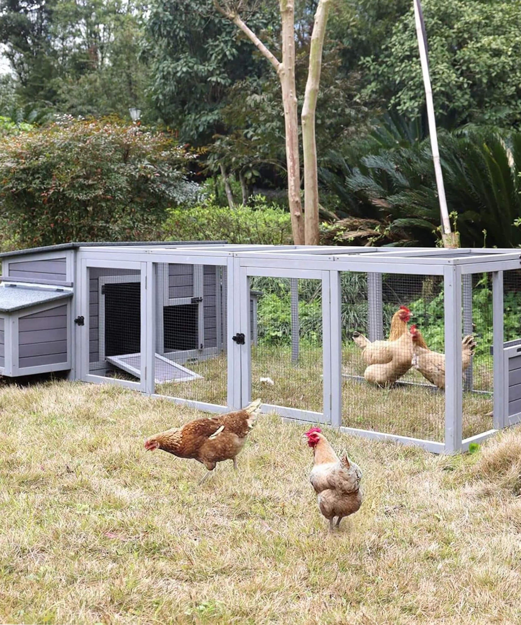 Large 103-Inch Outdoor Chicken Coop House With Run And Nesting Box [4-6 Chickens] (SAK53194)