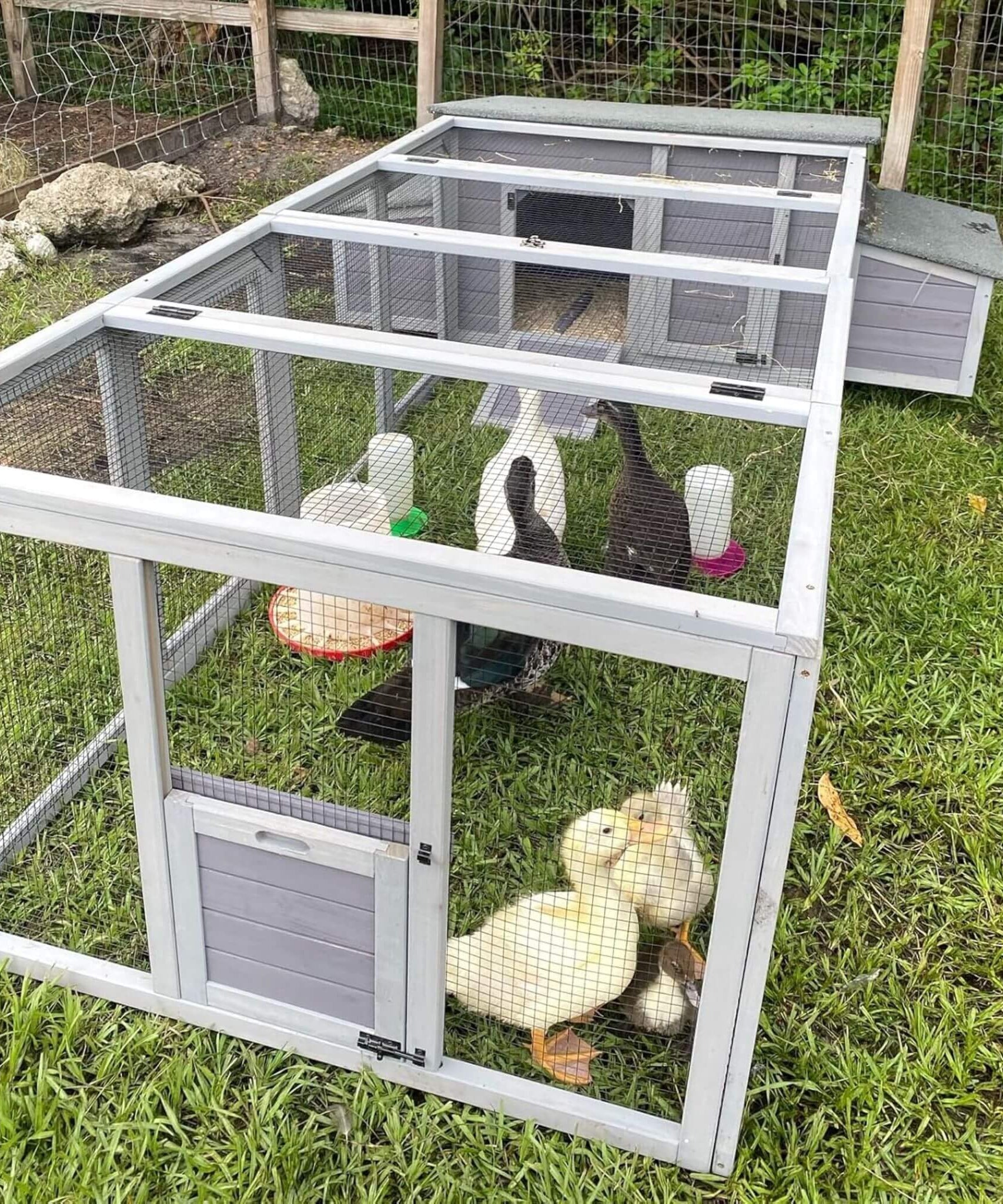 Large 103-Inch Outdoor Chicken Coop House With Run And Nesting Box [4-6 Chickens] (SAK53194)