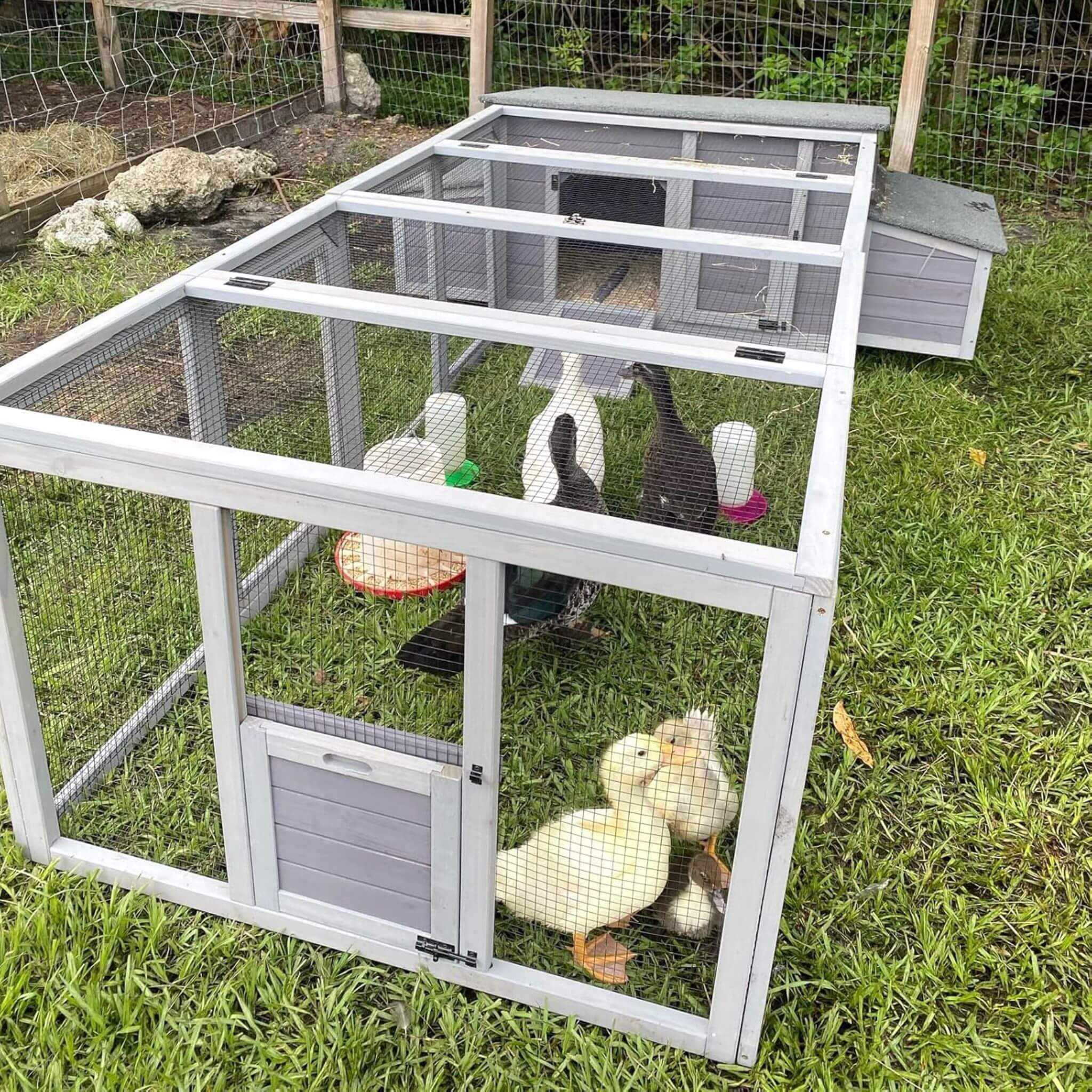 Large 103-Inch Outdoor Chicken Coop House With Run And Nesting Box [4-6 Chickens] (SAK53194)