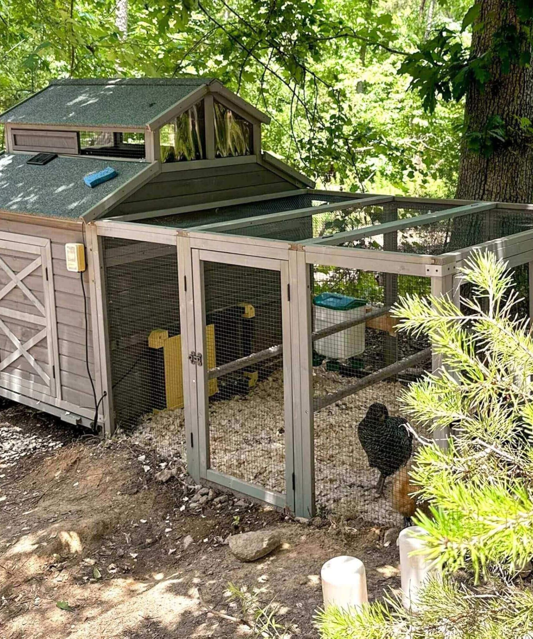 Large 115-Inch Portable Chicken Coop With Run And Nesting Boxes [8-10 Chickens] (SAK18263)