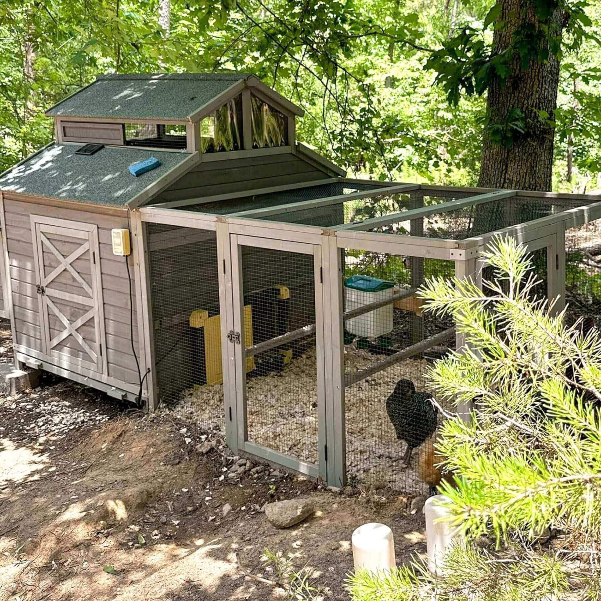 Large 115-Inch Portable Chicken Coop With Run And Nesting Boxes [8-10 Chickens] (SAK18263)