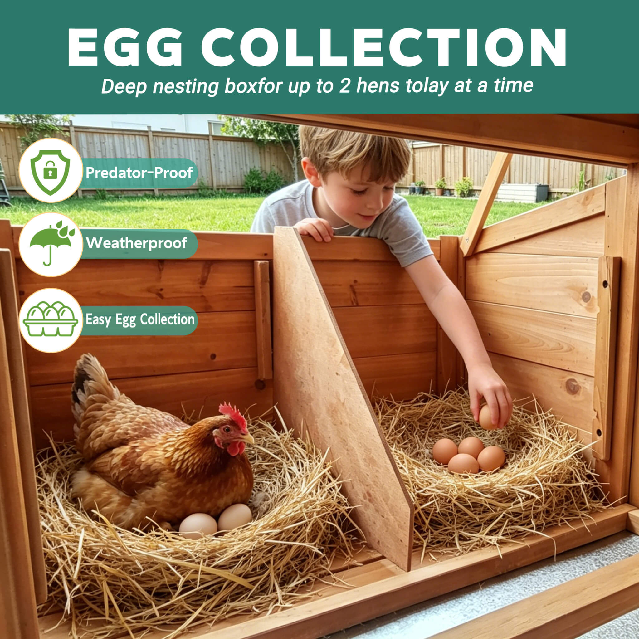 Large 122-Inch Chicken Coop With Run, Nest Box & Removable Tray For 4-6 Hens (SAK19542)