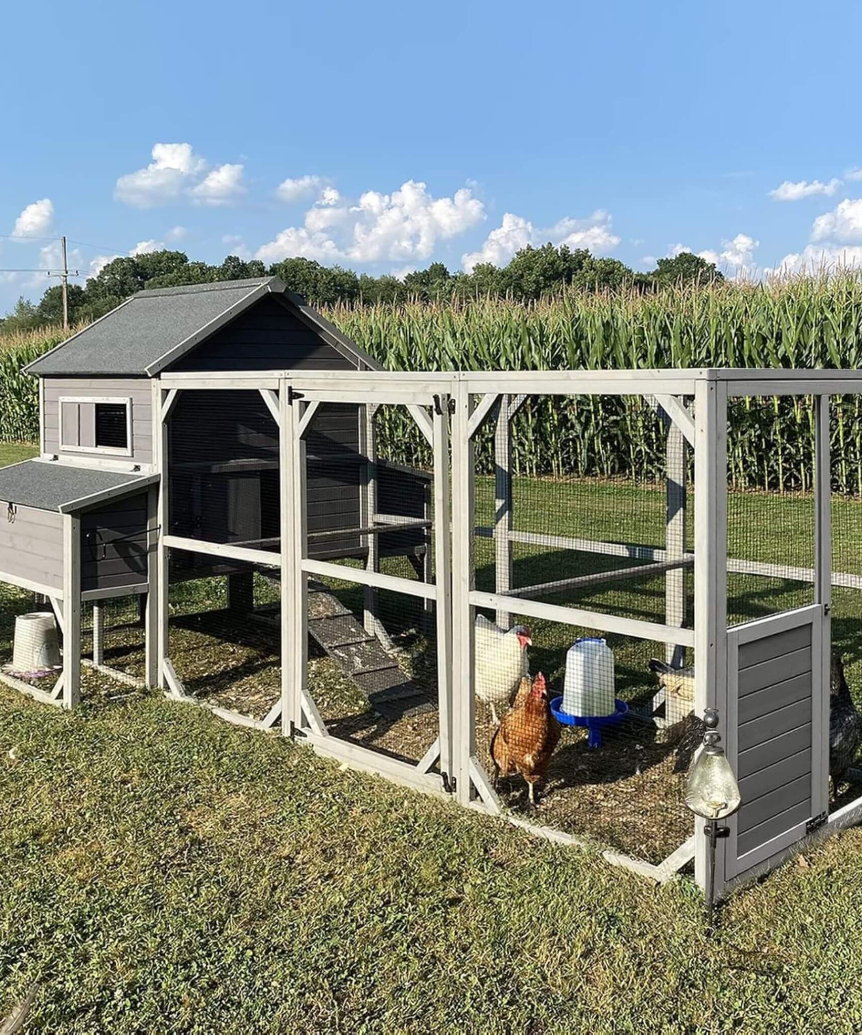Large 137-Inch Wooden Chicken Coop With Run And 6 Nesting Boxes [10-15 Chickens] (SAK96430)