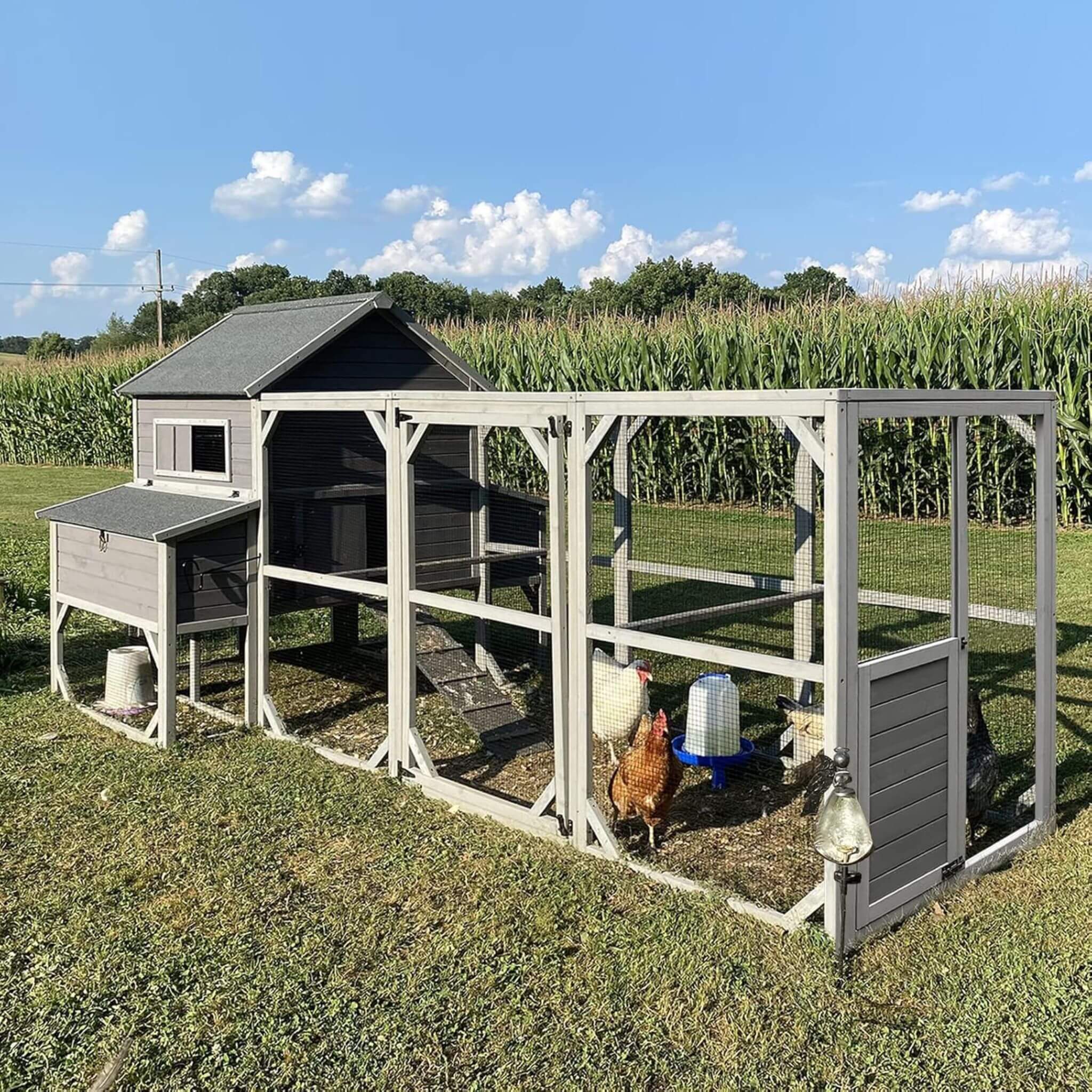 Large 137-Inch Wooden Chicken Coop With Run And 6 Nesting Boxes [10-15 Chickens] (SAK96430)