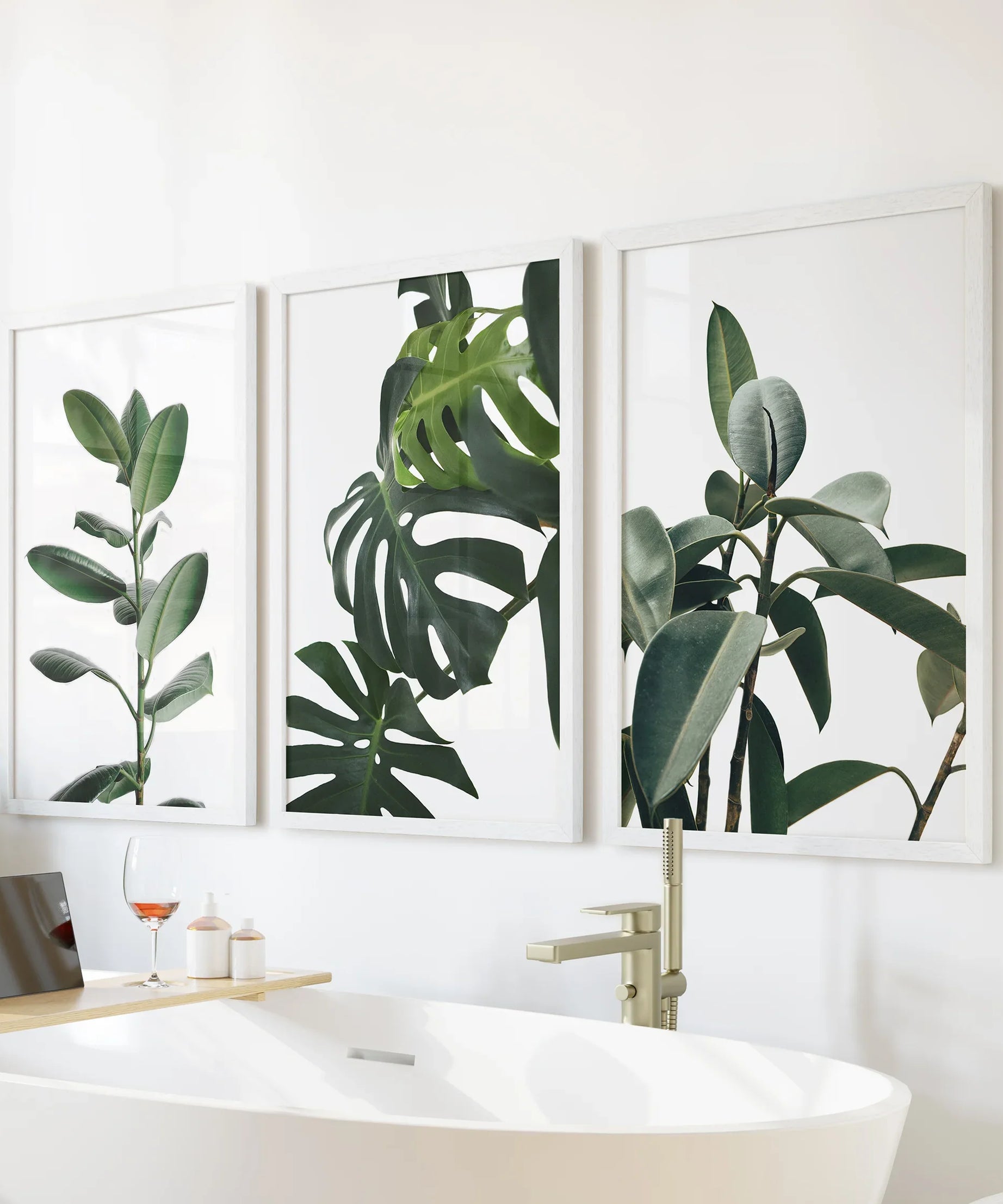 Botanical Set of 3  Prints. Tropical Monstera, Rubber Plant
