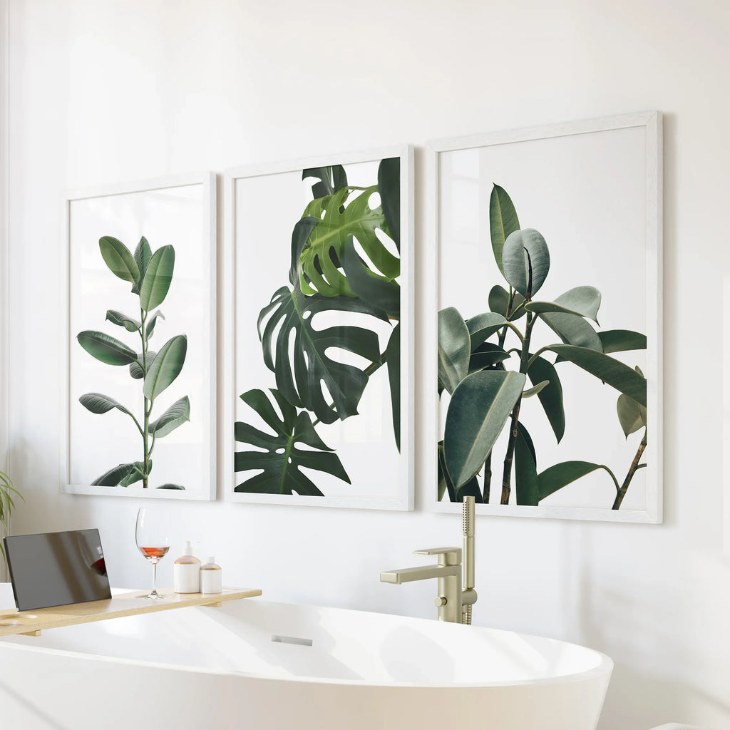 Botanical Set of 3  Prints. Tropical Monstera, Rubber Plant