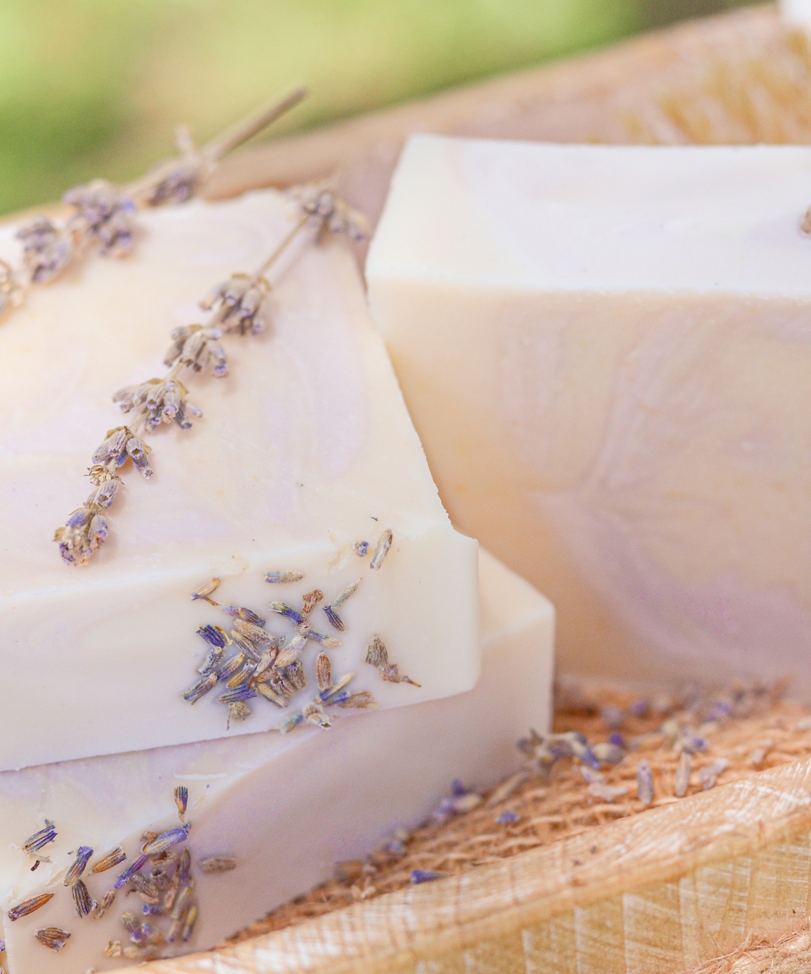 Lavender + Mint Handmade Tallow and Goat Milk Soap Bar