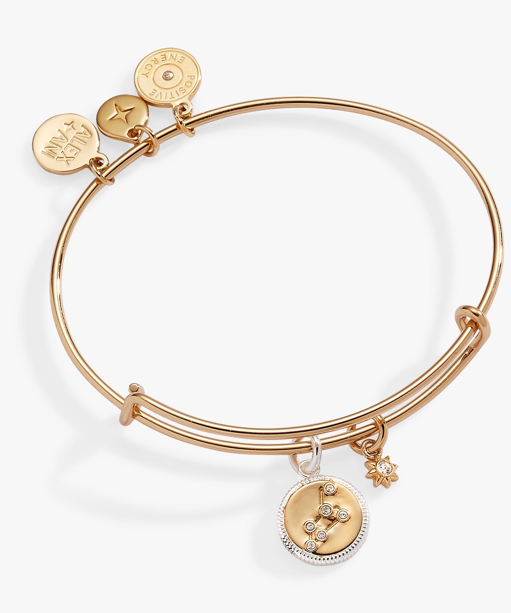 Leo Zodiac Charm Bangle
