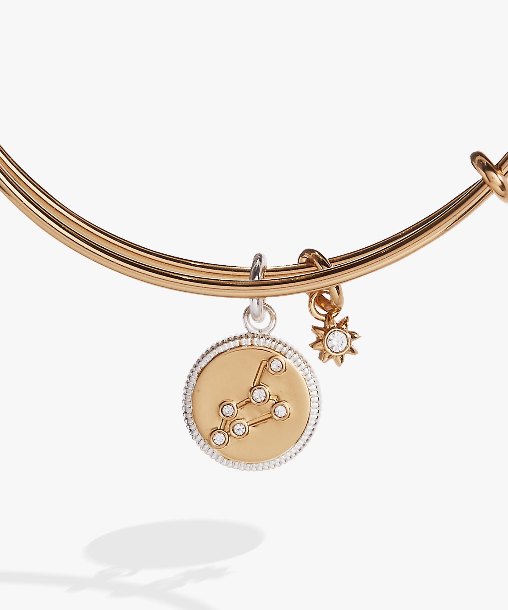 Leo Zodiac Charm Bangle