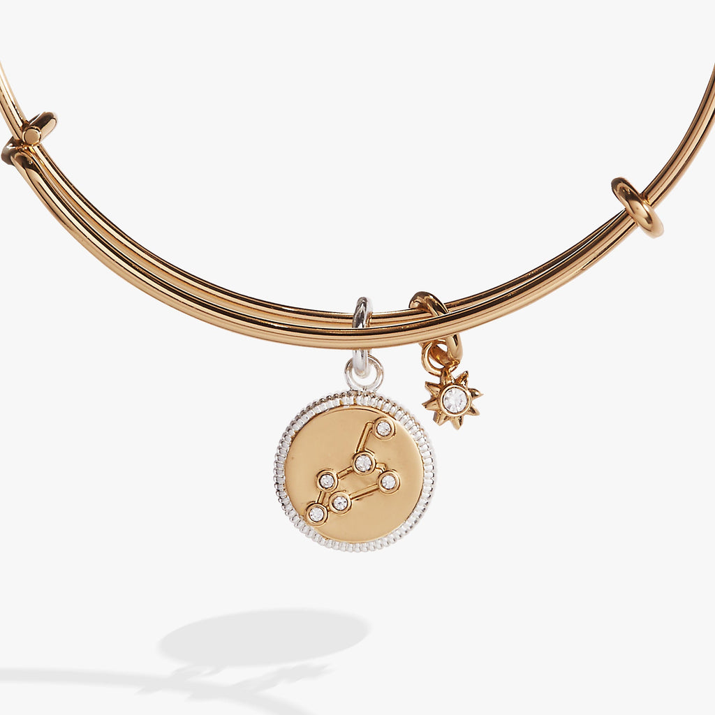 Leo Zodiac Charm Bangle