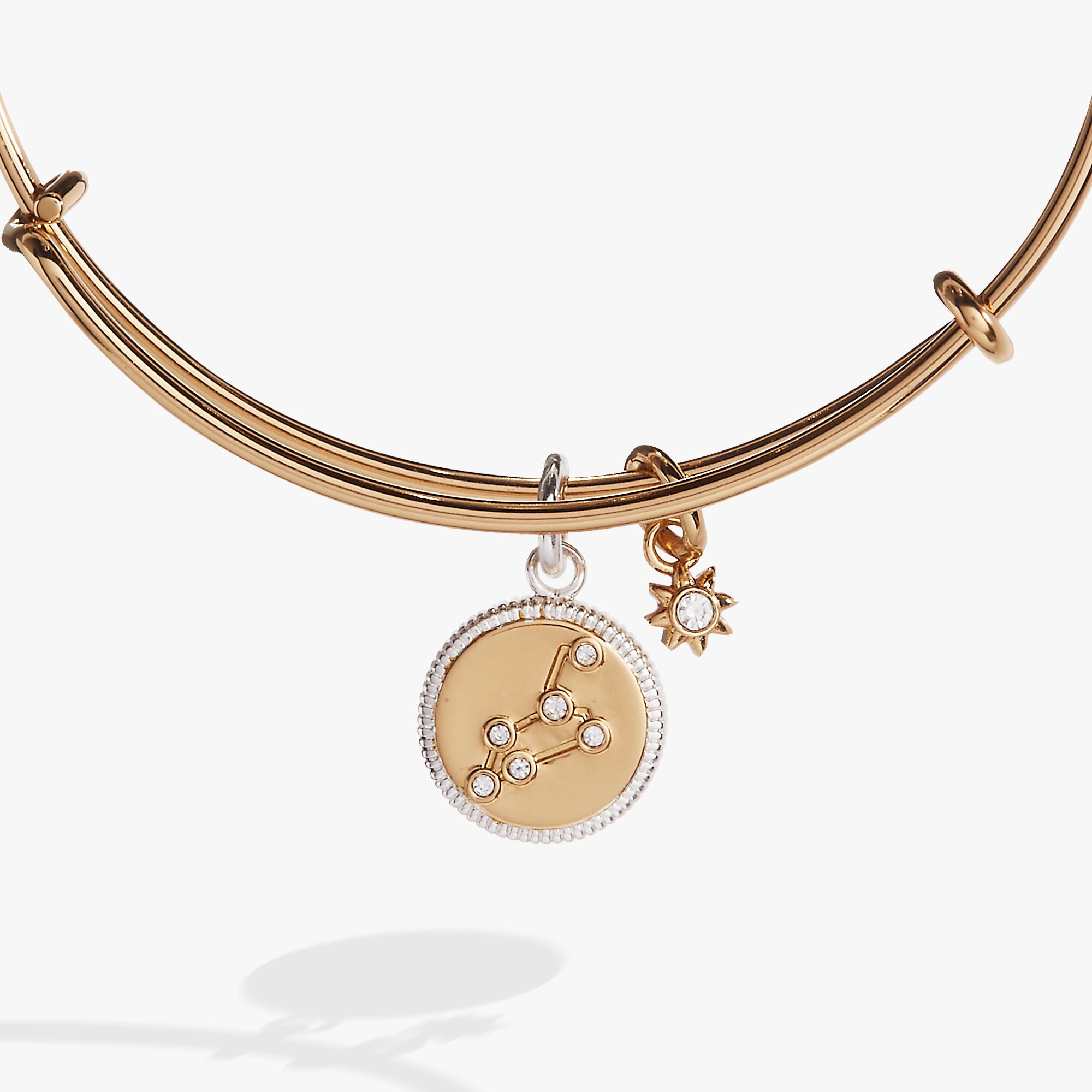 Leo Zodiac Charm Bangle