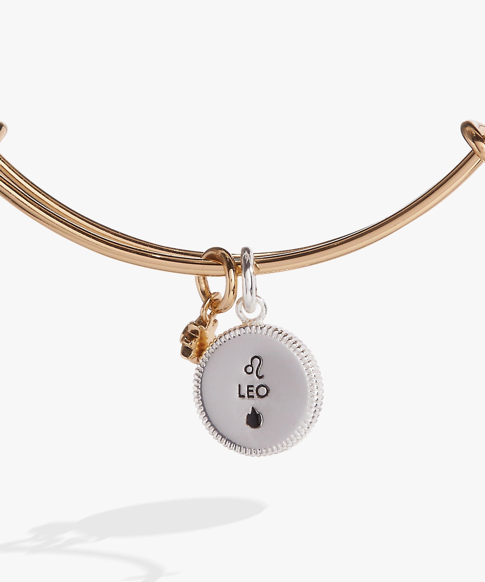 Leo Zodiac Charm Bangle