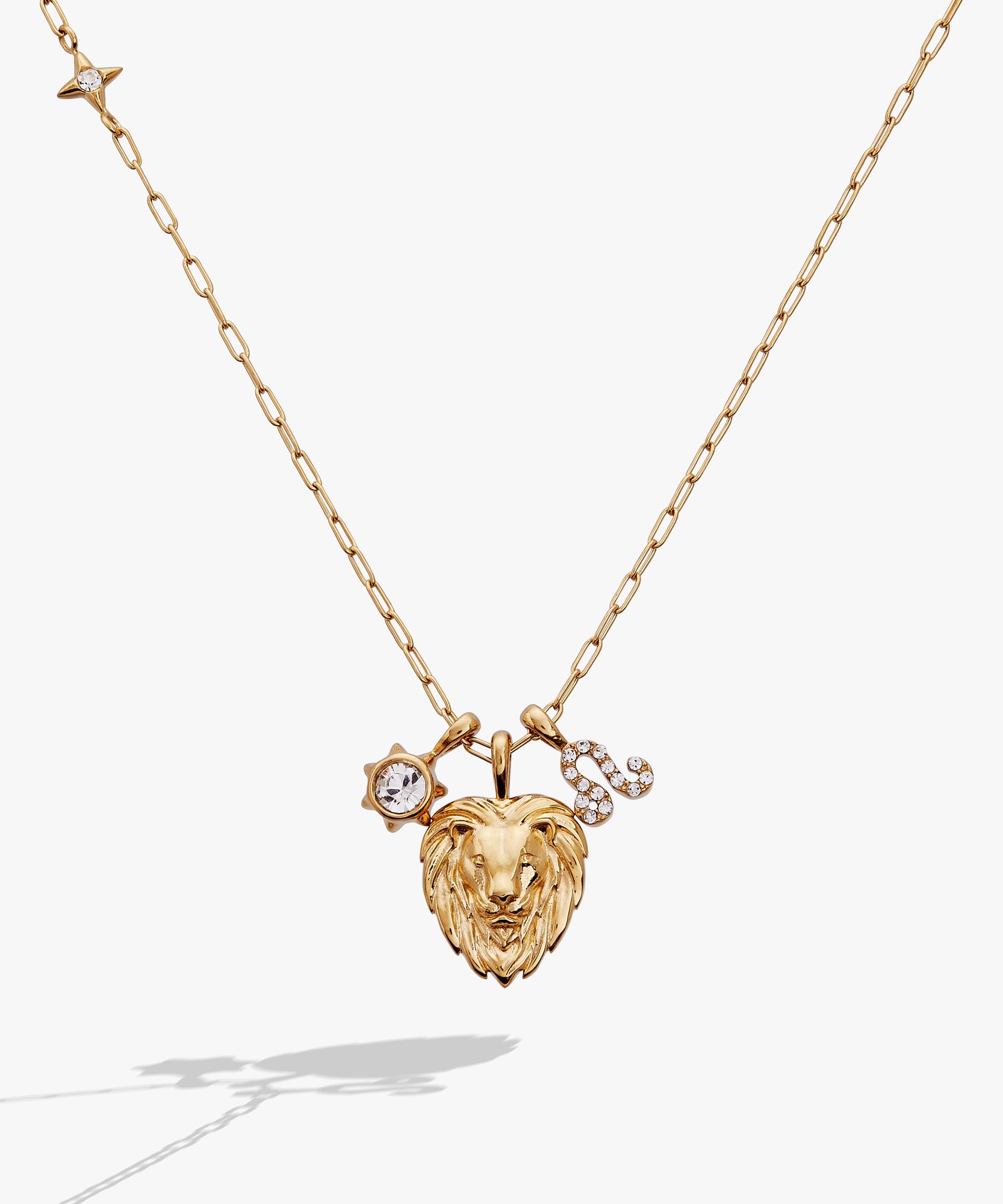 Leo Zodiac Charm Cluster Necklace