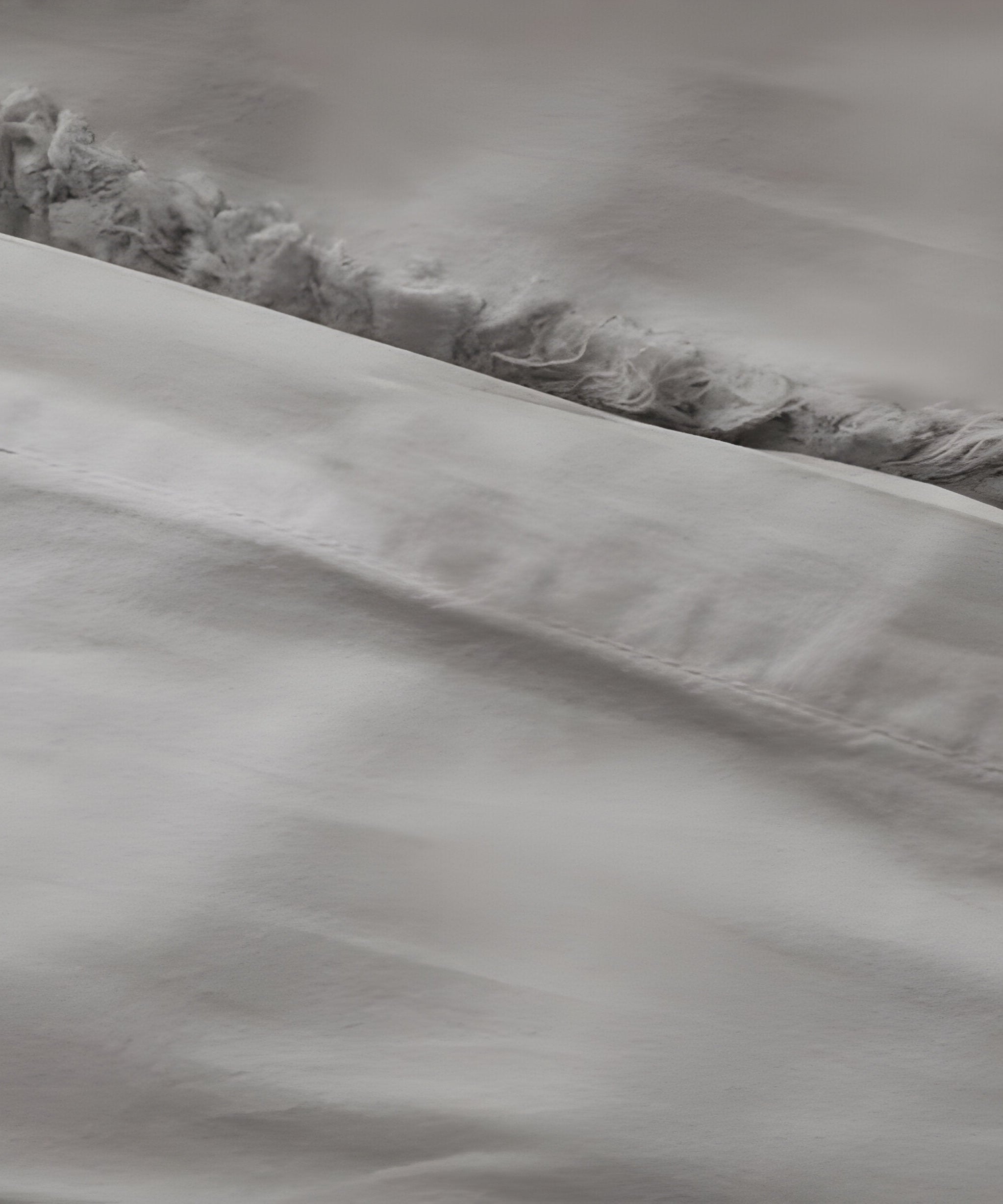 400TC Cotton Sateen Solid Fringe Duvet Cover Set