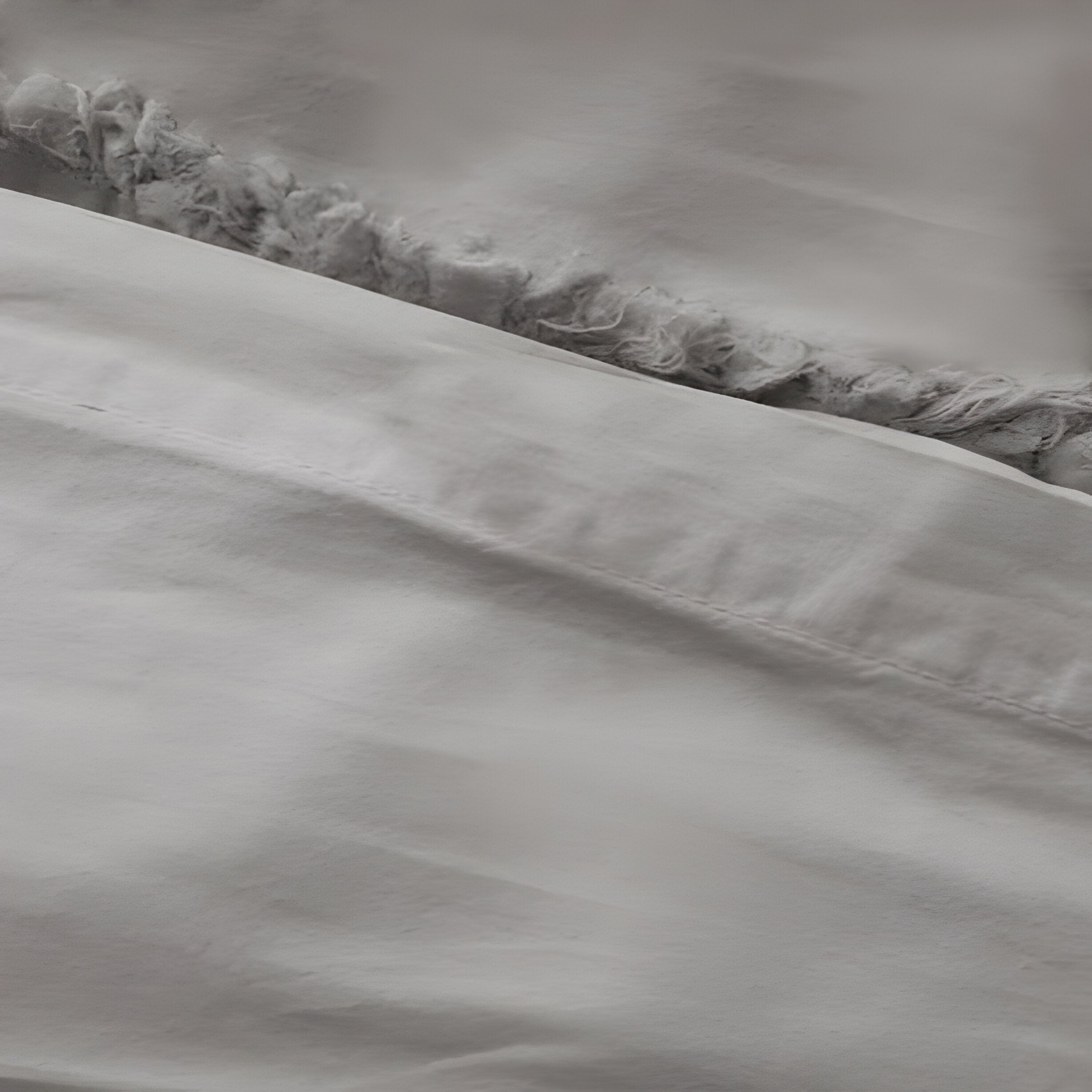 400TC Cotton Sateen Solid Fringe Duvet Cover Set