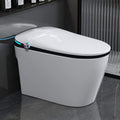 Nuvia Luxury Smart Toilet With Built-In Auto Open And Close Bidet Seat, Foot Sensor, LED Display And Night Light (SAK31256)