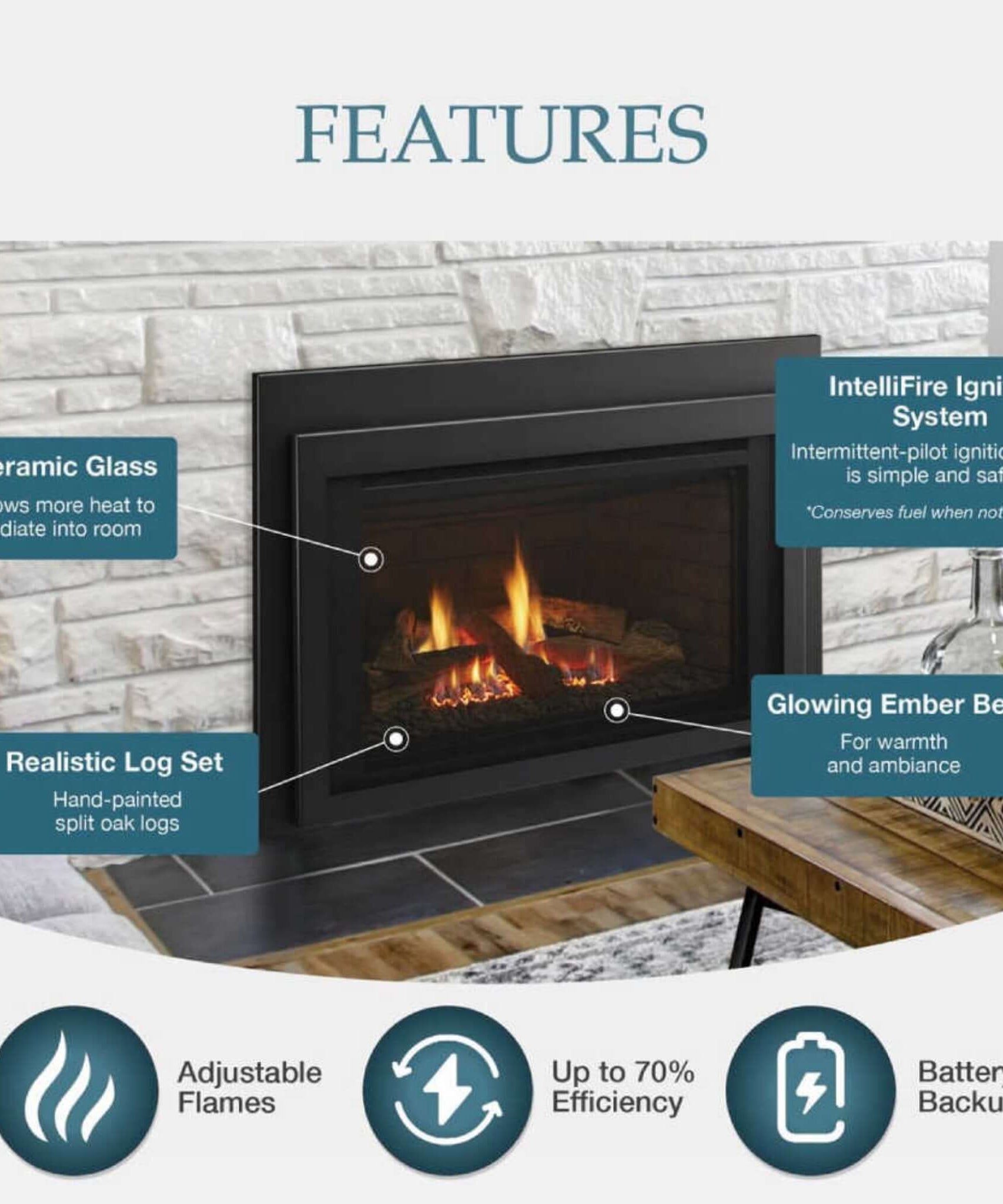 Majestic Jasper 30-Inch Direct Vent Natural Gas Insert [JASPER30IN] (SAK21396)