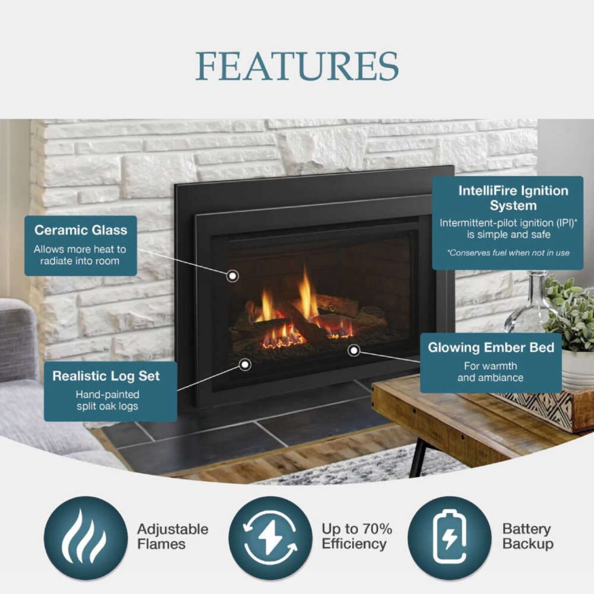 Majestic Jasper 30-Inch Direct Vent Natural Gas Insert [JASPER30IN] (SAK21396)