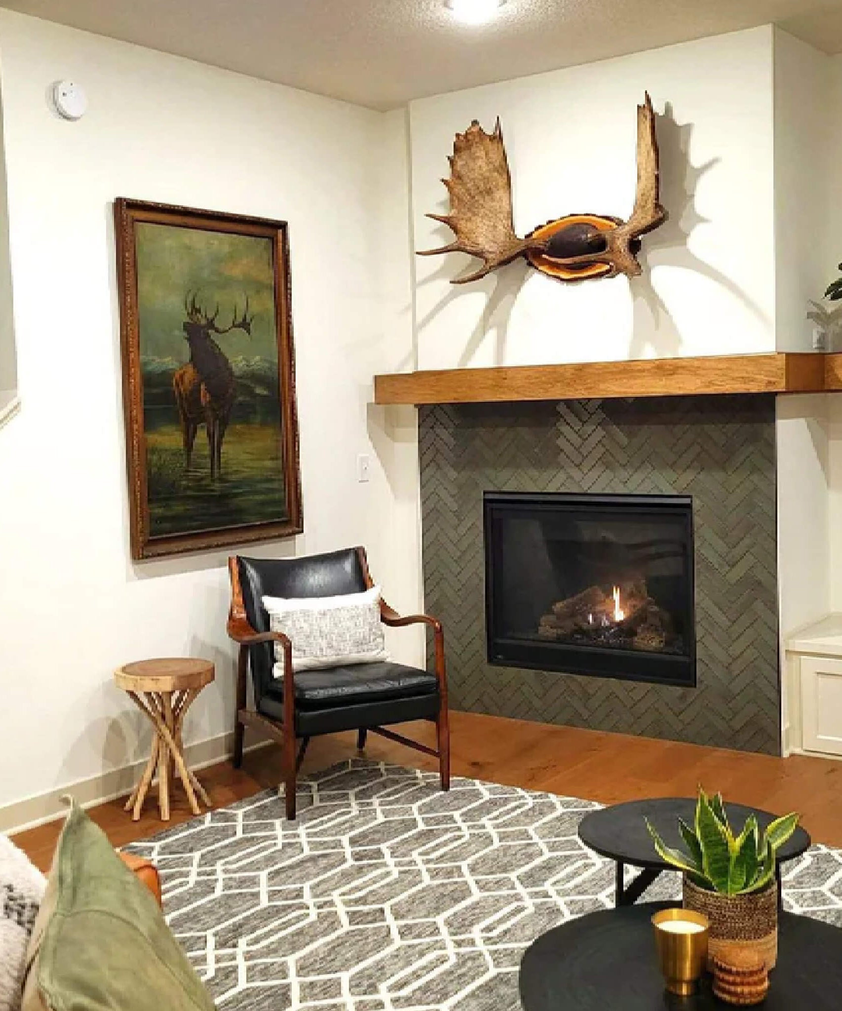 Majestic Mercury 32-Inch Direct Vent Natural Gas Fireplace [MERC32IN] (SAK15031)