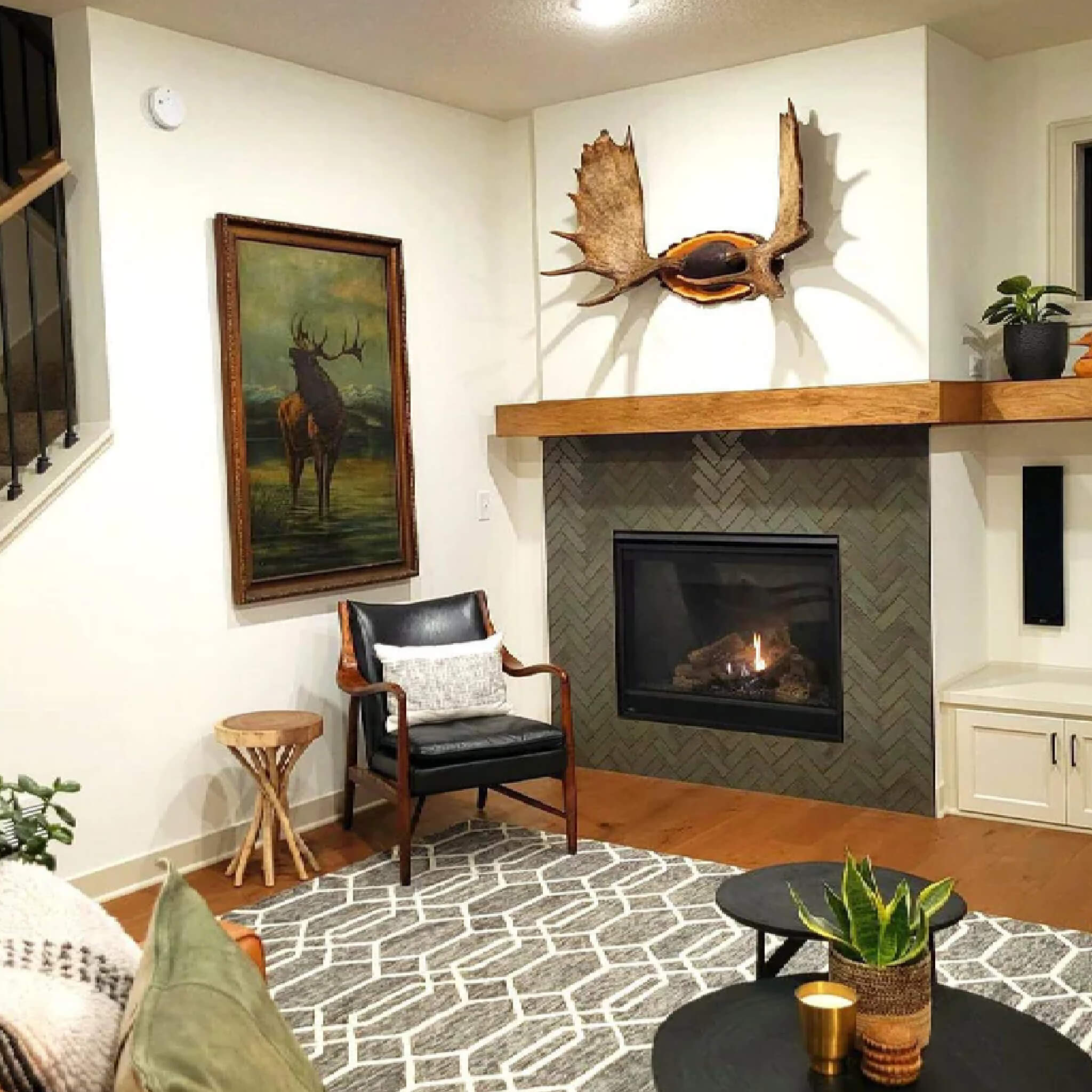 Majestic Mercury 32-Inch Direct Vent Natural Gas Fireplace [MERC32IN] (SAK15031)