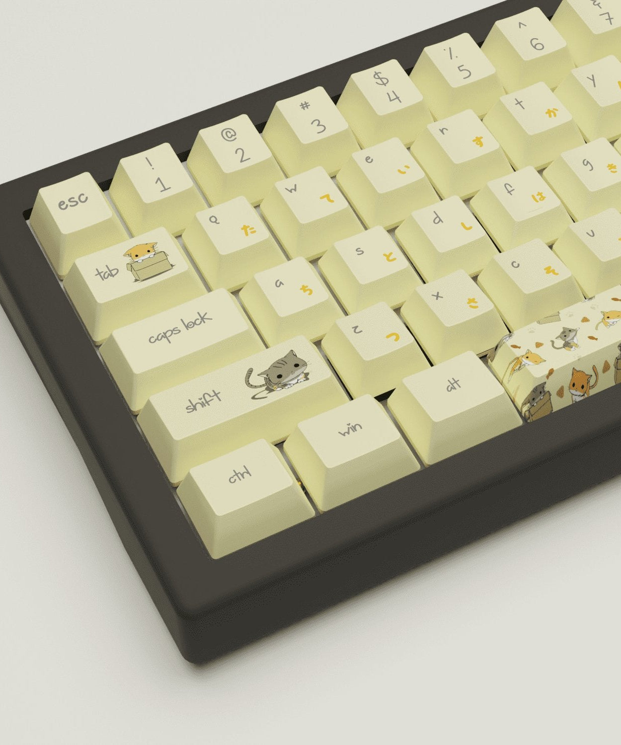 Meowcaps Design Keycaps and Mechanical Keyboard