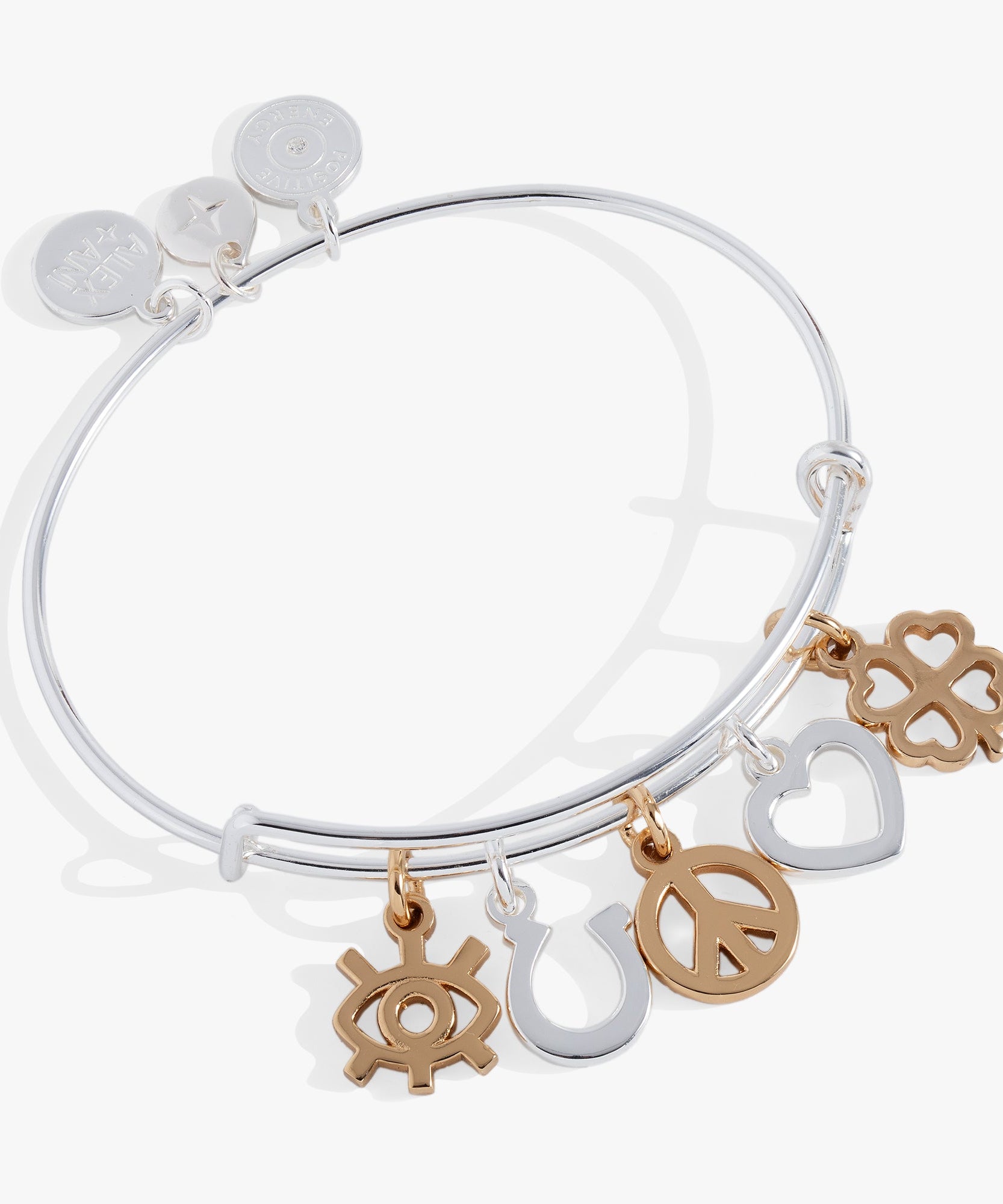 Mixed Symbol Multi-Charm Bangle