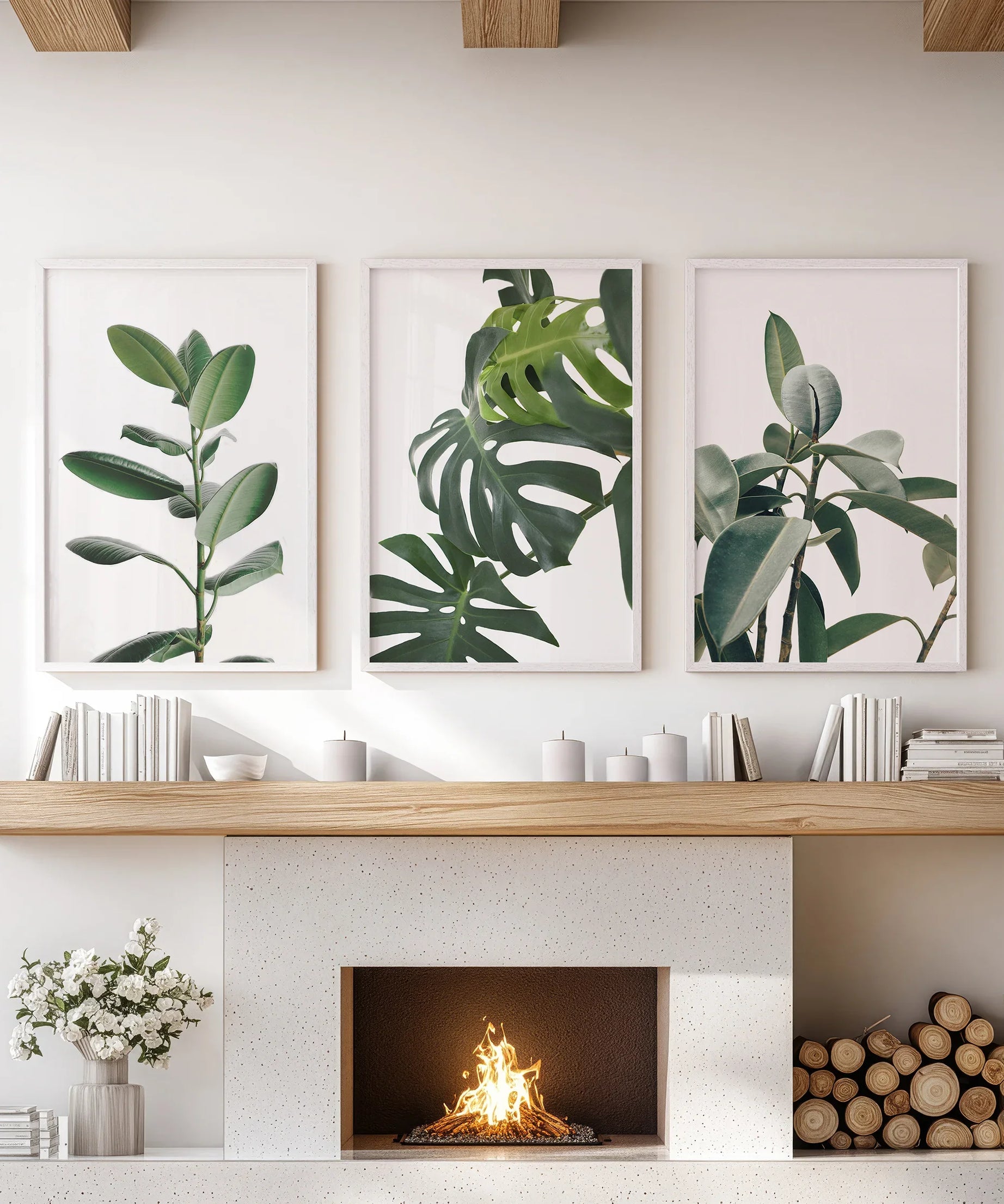 Botanical Set of 3  Prints. Tropical Monstera, Rubber Plant