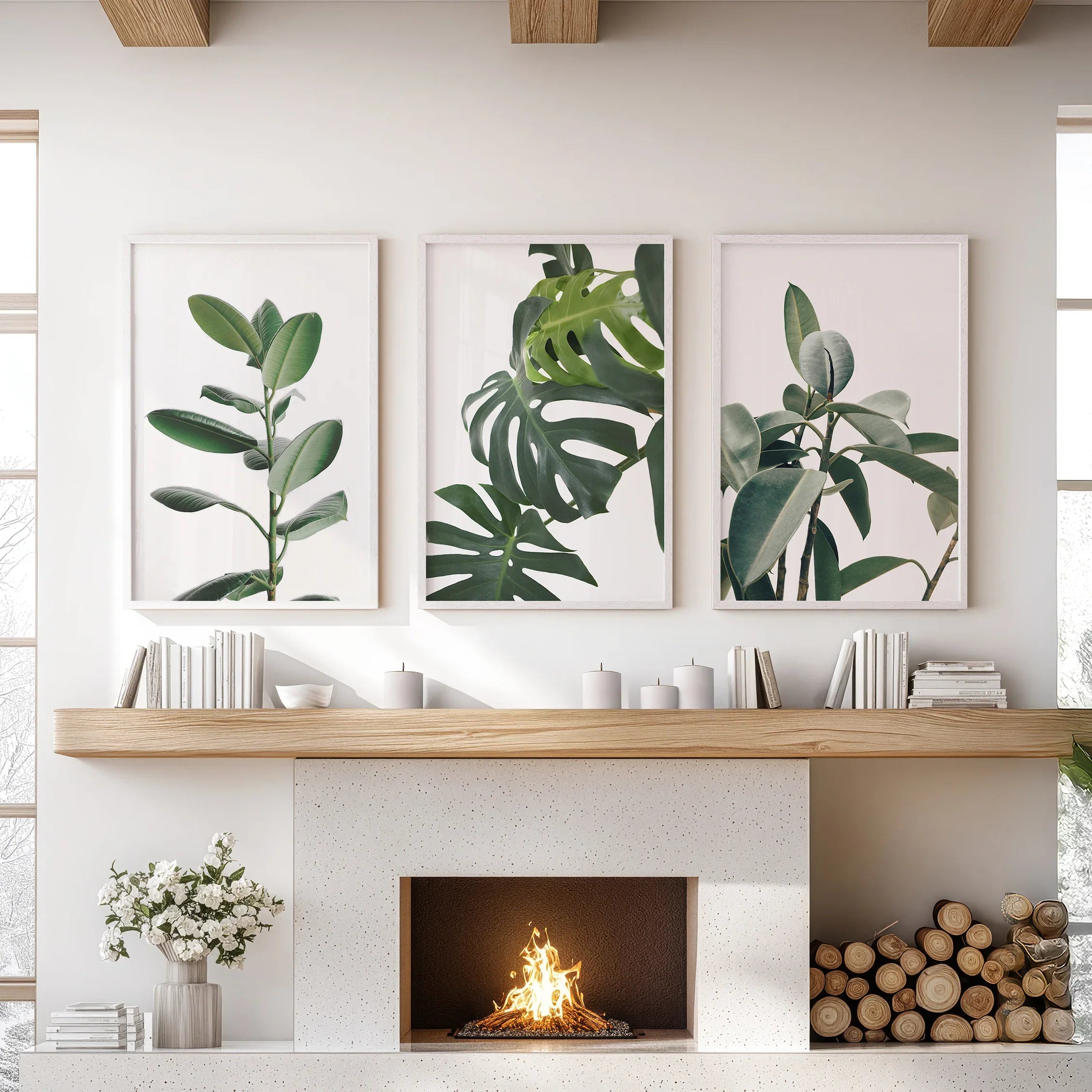Botanical Set of 3  Prints. Tropical Monstera, Rubber Plant