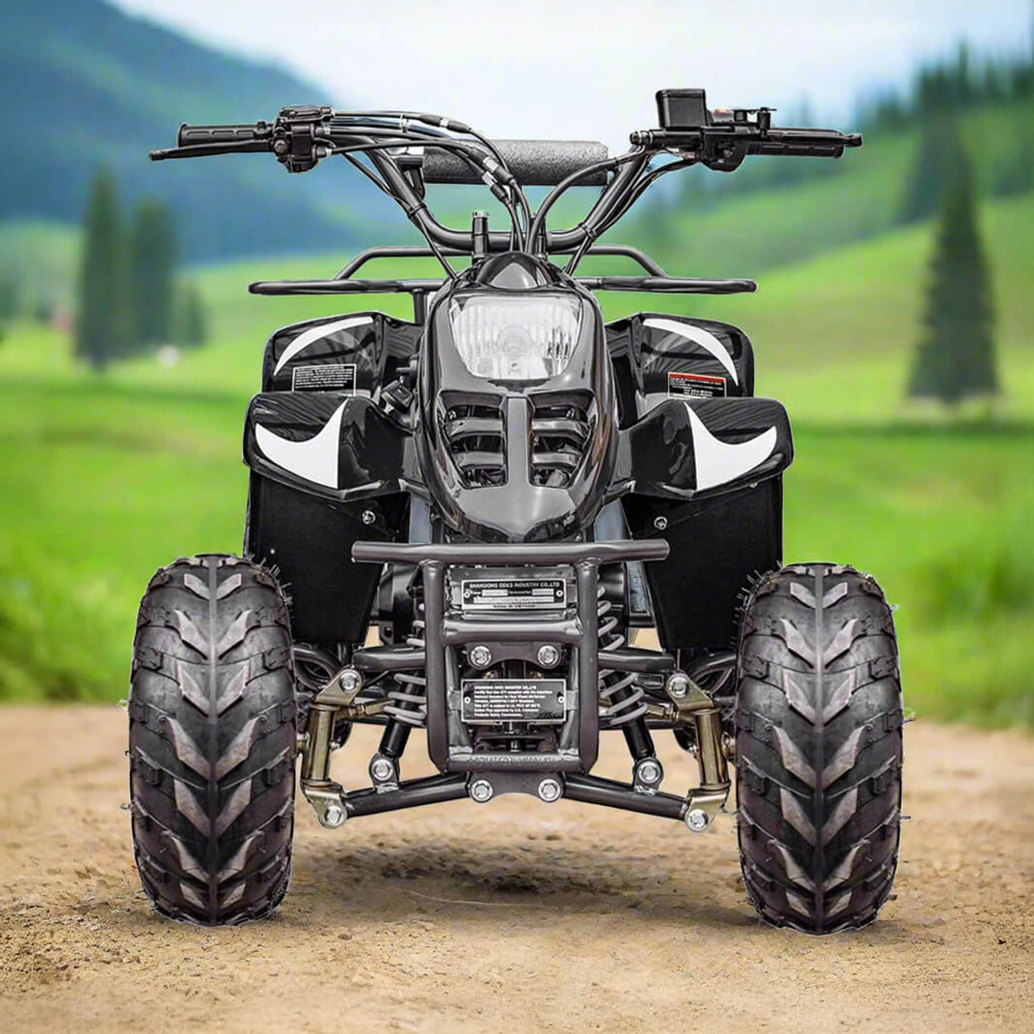 MotoTec Rex 110CC 4-Stroke Mini Kids 4 Wheeler Gas ATV Quad (SAK24197)
