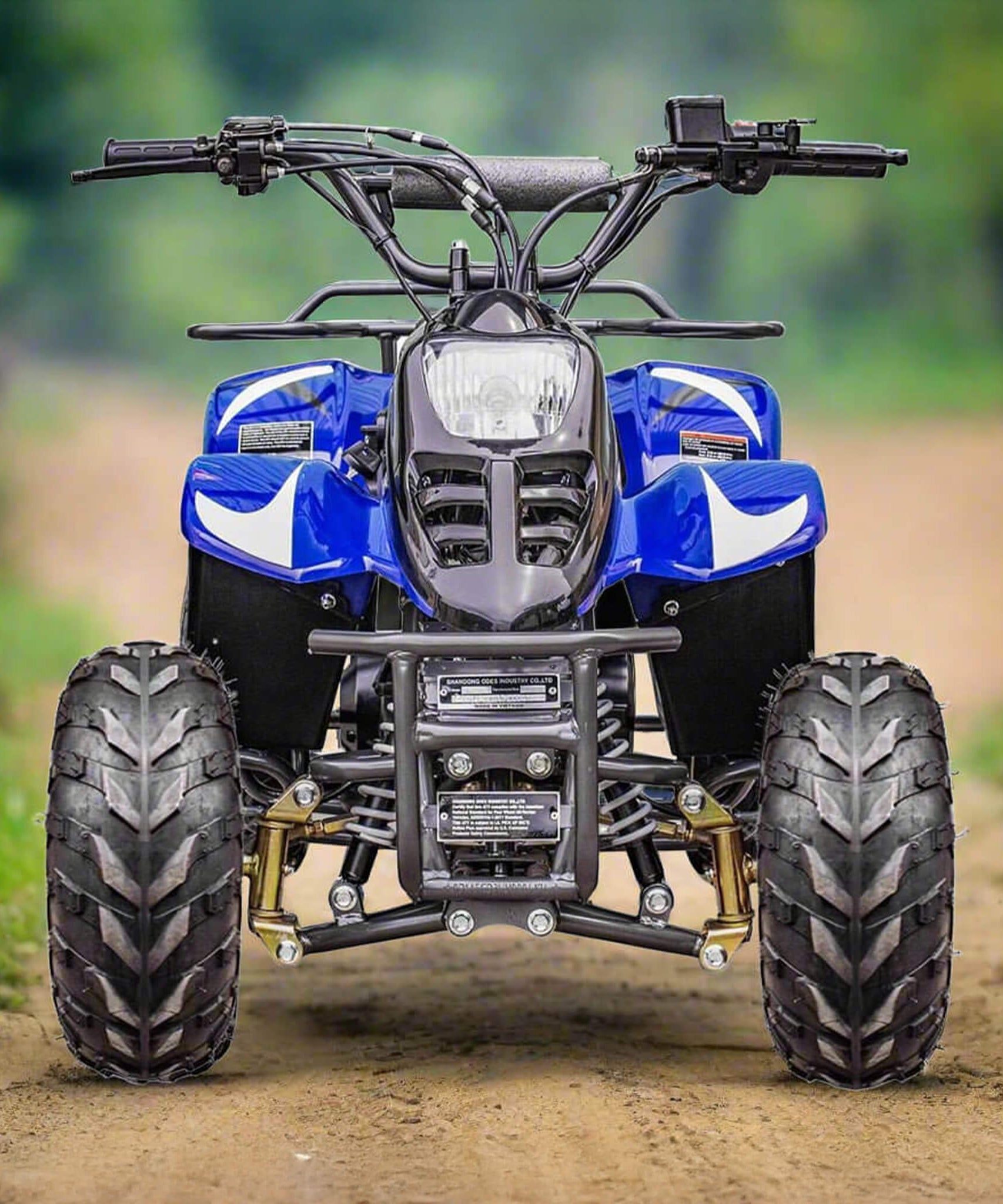 MotoTec Rex 110CC 4-Stroke Mini Kids 4 Wheeler Gas ATV Quad (SAK24197)