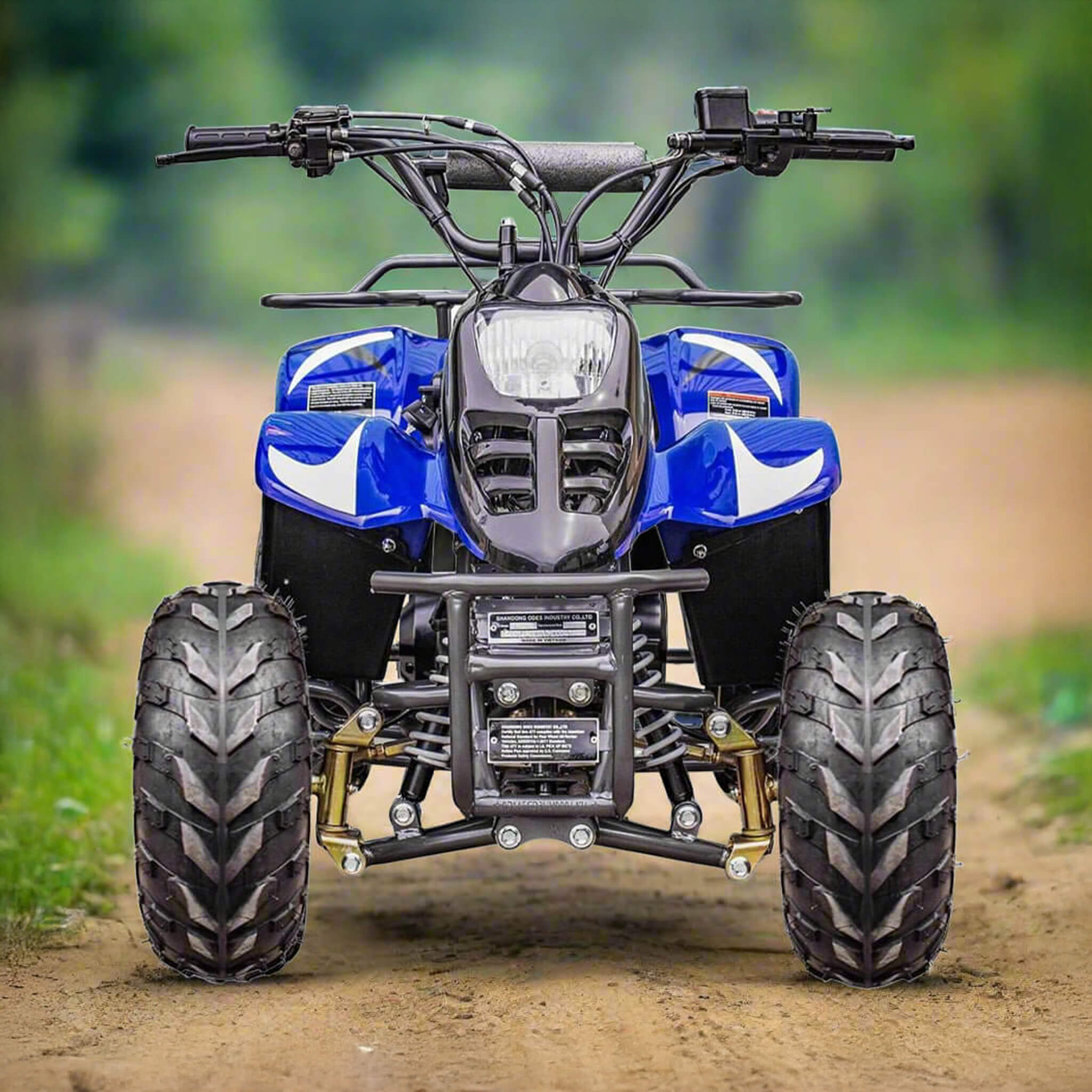 MotoTec Rex 110CC 4-Stroke Mini Kids 4 Wheeler Gas ATV Quad (SAK24197)