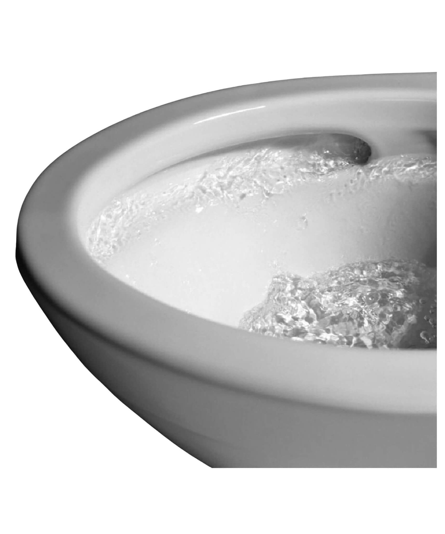 [MW7763074CEFG.10#01] TOTO Drake 1.28 GPF With Washlet C2 Elongated Bidet Toilet And 10" Rough In (SAK73915)
