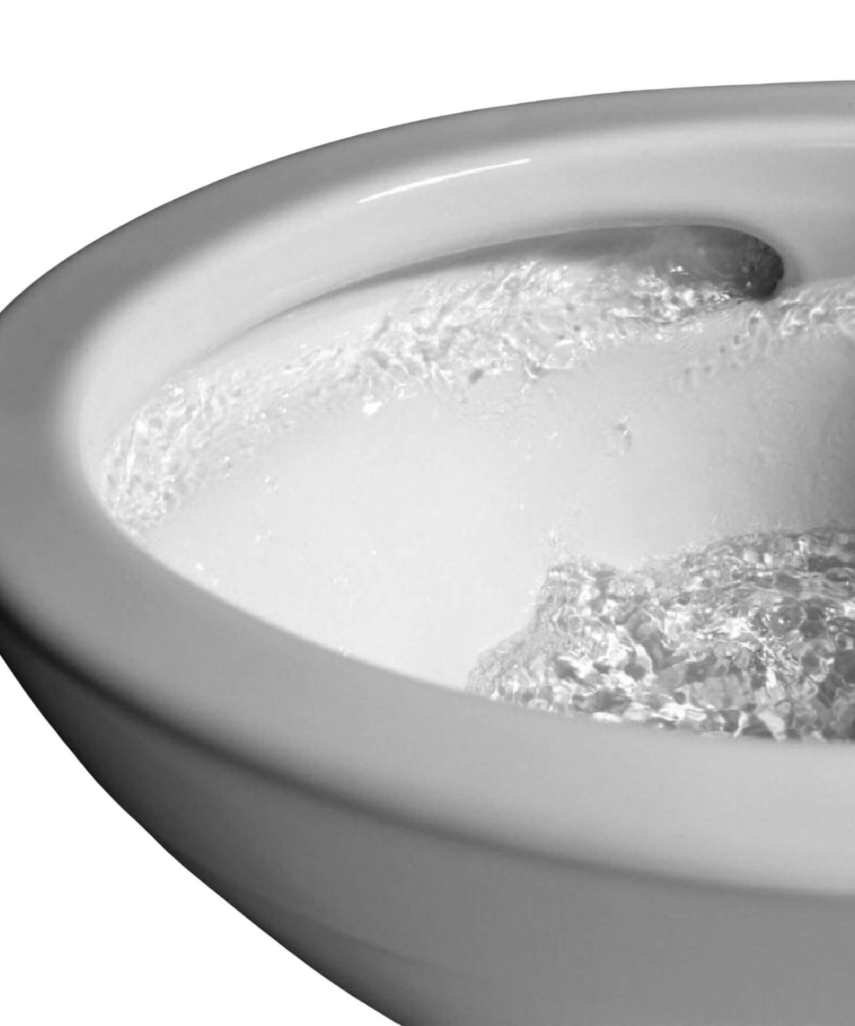 [MW7763084CSG#01] TOTO Drake C5 Bidet Seat With 1.6 GPF Tornado Flush (SAK12230)