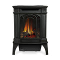 Napoleon Arlington 20 19-Inch Cast Iron Millivolt Ignition Natural Gas Stove [GDS20NSB] (SAK93714)