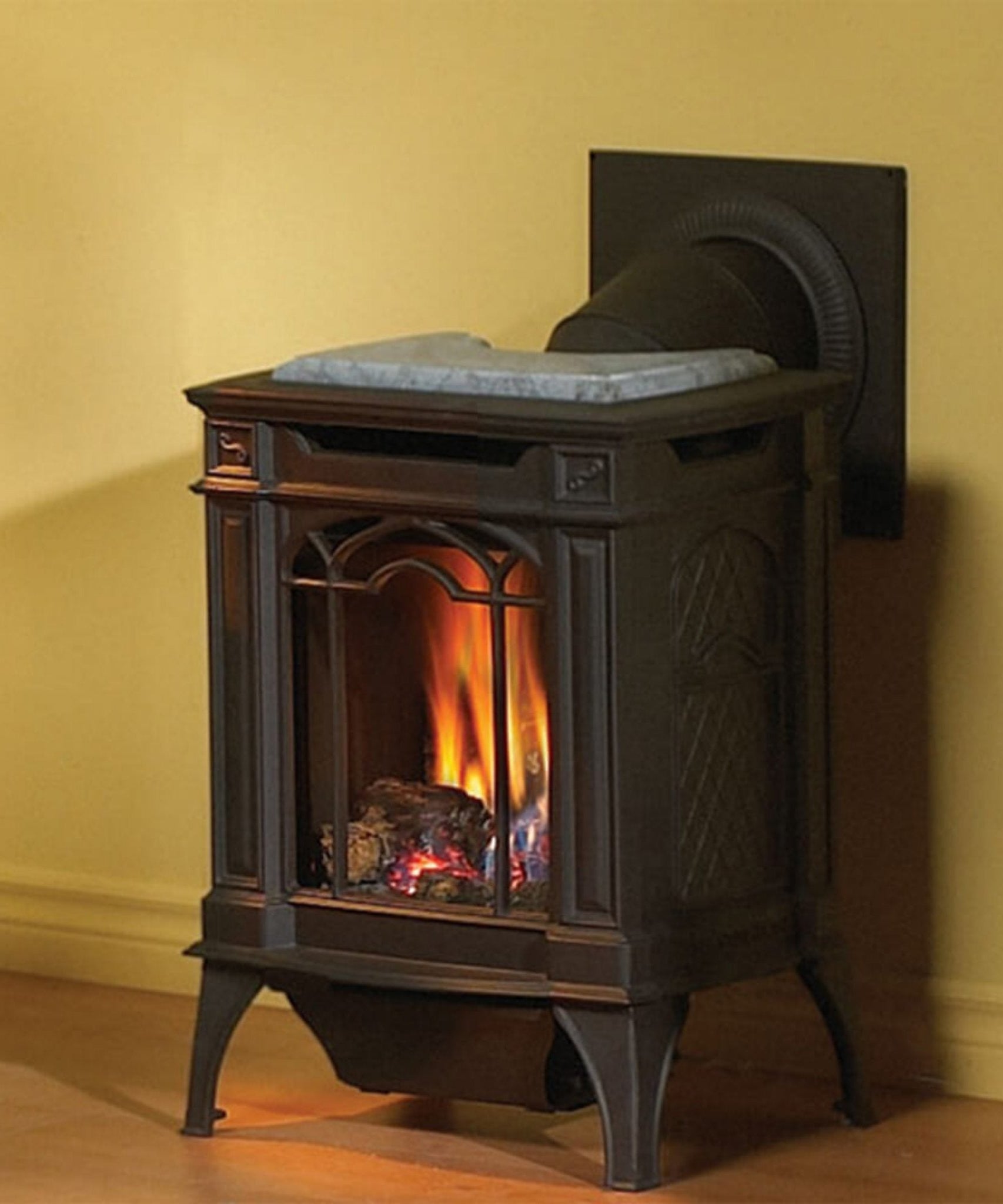 Napoleon Arlington 20 19-Inch Cast Iron Millivolt Ignition Natural Gas Stove [GDS20NSB] (SAK93714)