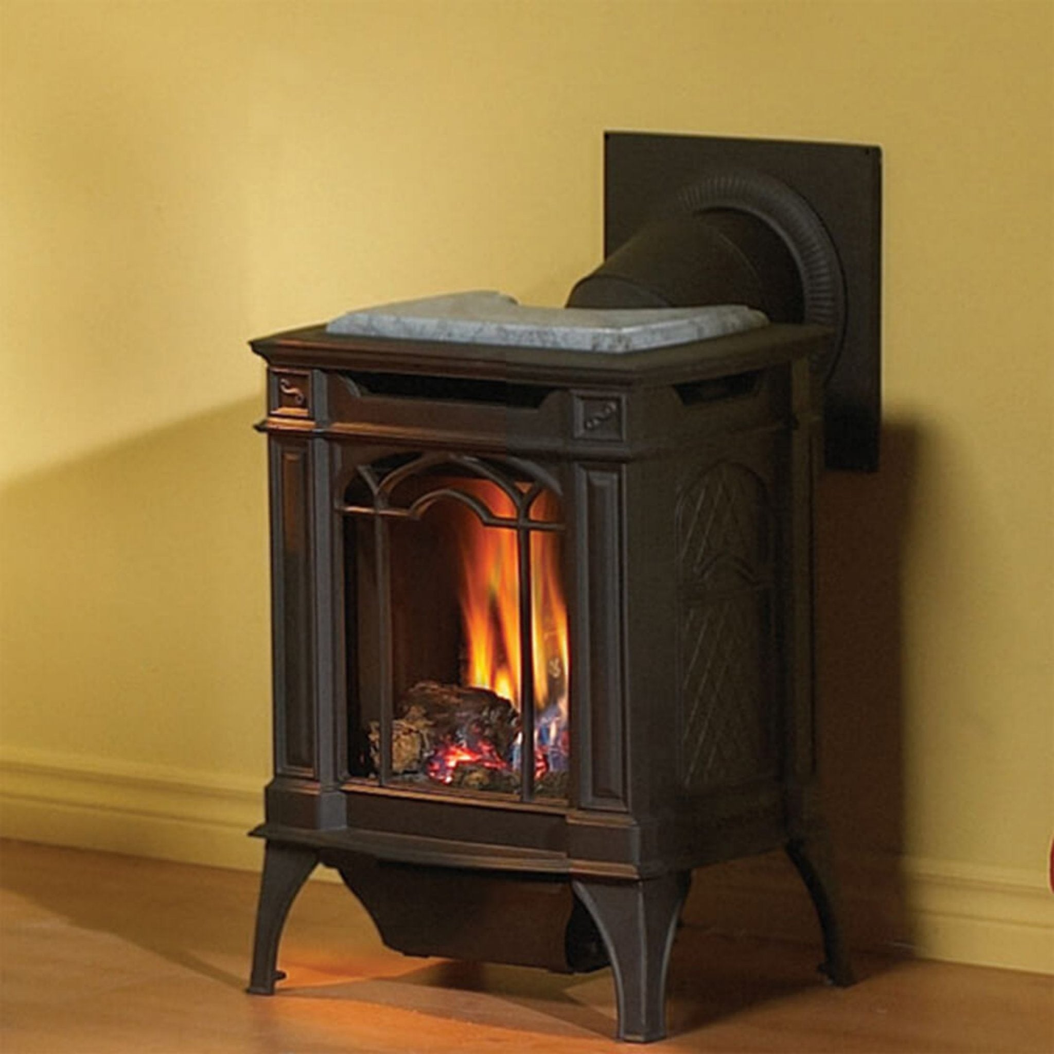 Napoleon Arlington 20 19-Inch Cast Iron Millivolt Ignition Natural Gas Stove [GDS20NSB] (SAK93714)
