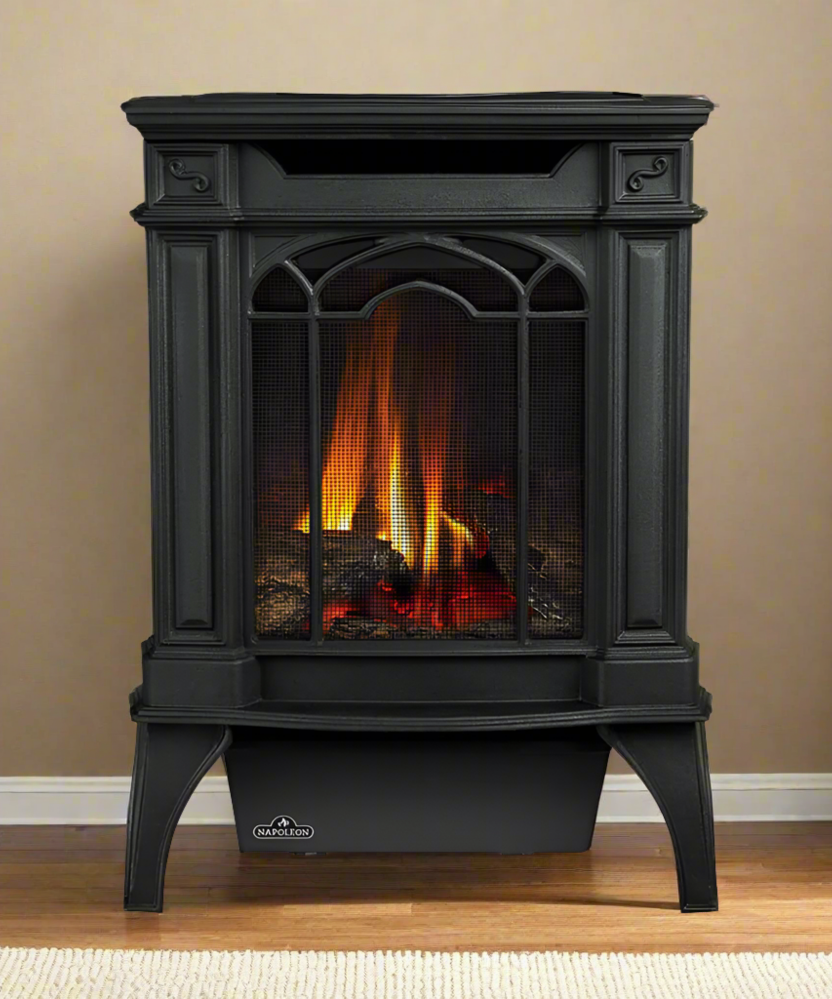 Napoleon Arlington 20 19-Inch Cast Iron Direct Vent Metallic Black Natural Gas Stove [GDS20NE] (SAK18258)