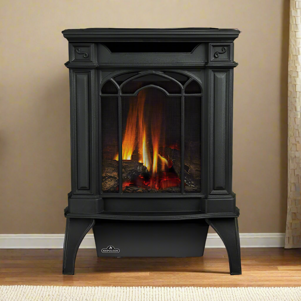 Napoleon Arlington 20 19-Inch Cast Iron Direct Vent Metallic Black Natural Gas Stove [GDS20NE] (SAK18258)