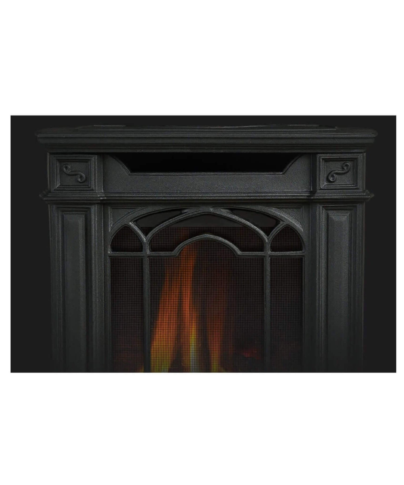 Napoleon Arlington 20 19-Inch Cast Iron Direct Vent Metallic Black Natural Gas Stove [GDS20NE] (SAK18258)