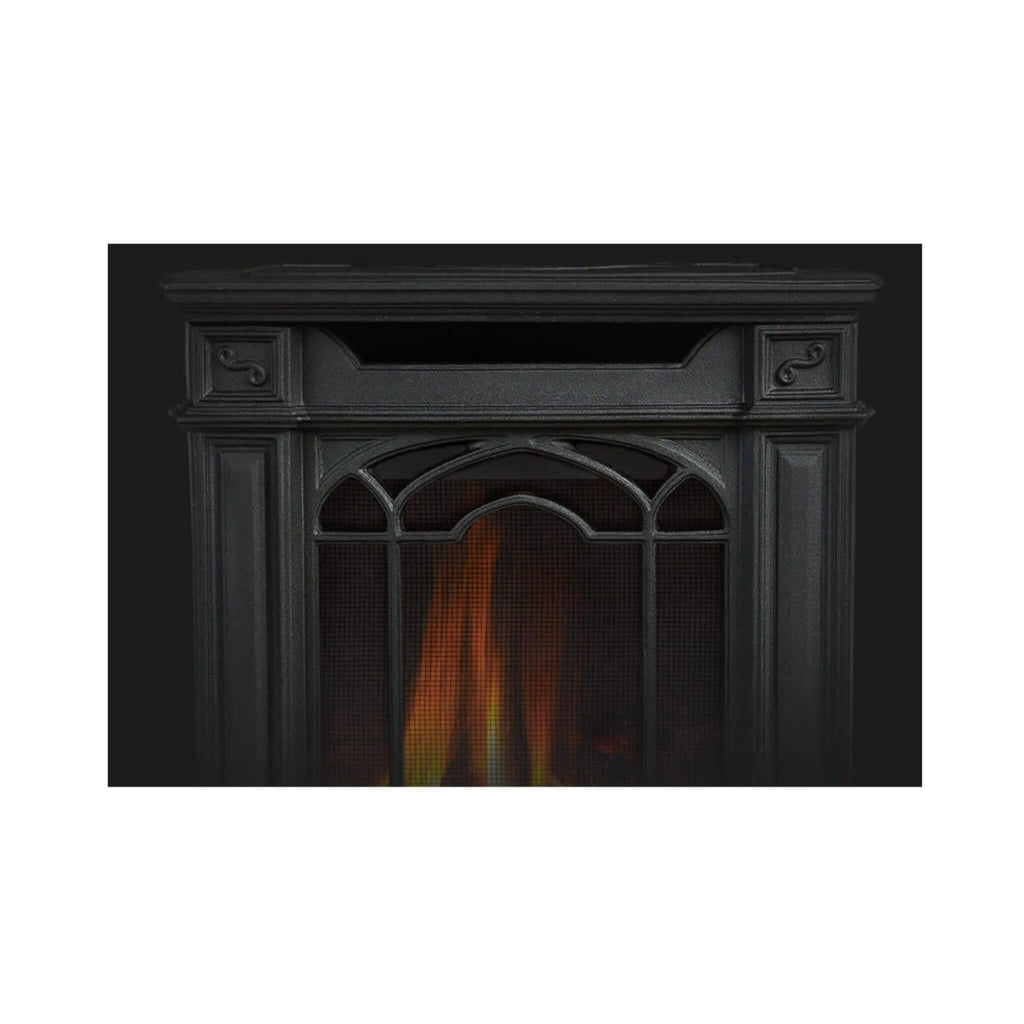 Napoleon Arlington 20 19-Inch Cast Iron Direct Vent Metallic Black Natural Gas Stove [GDS20NE] (SAK18258)