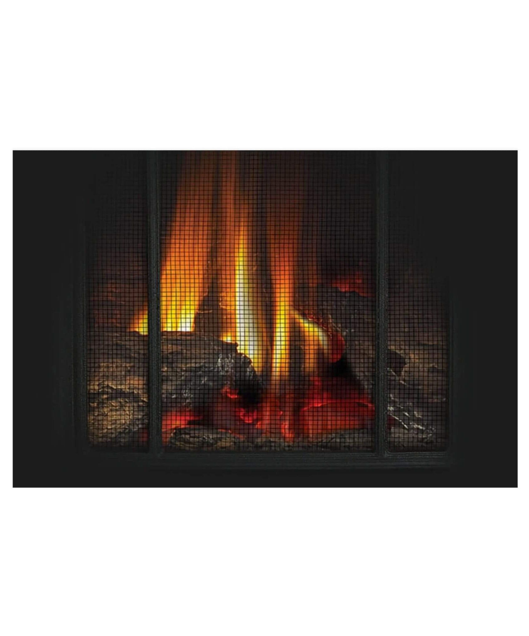Napoleon Arlington 20 19-Inch Cast Iron Direct Vent Metallic Black Natural Gas Stove [GDS20NE] (SAK18258)