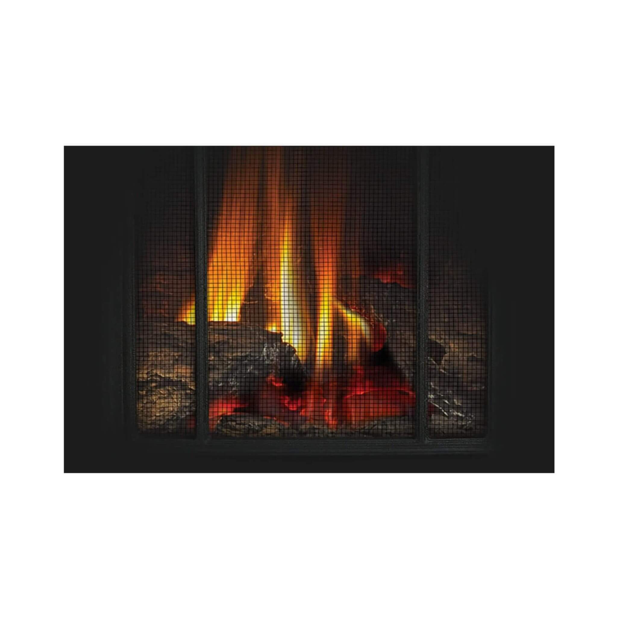 Napoleon Arlington 20 19-Inch Cast Iron Direct Vent Metallic Black Natural Gas Stove [GDS20NE] (SAK18258)