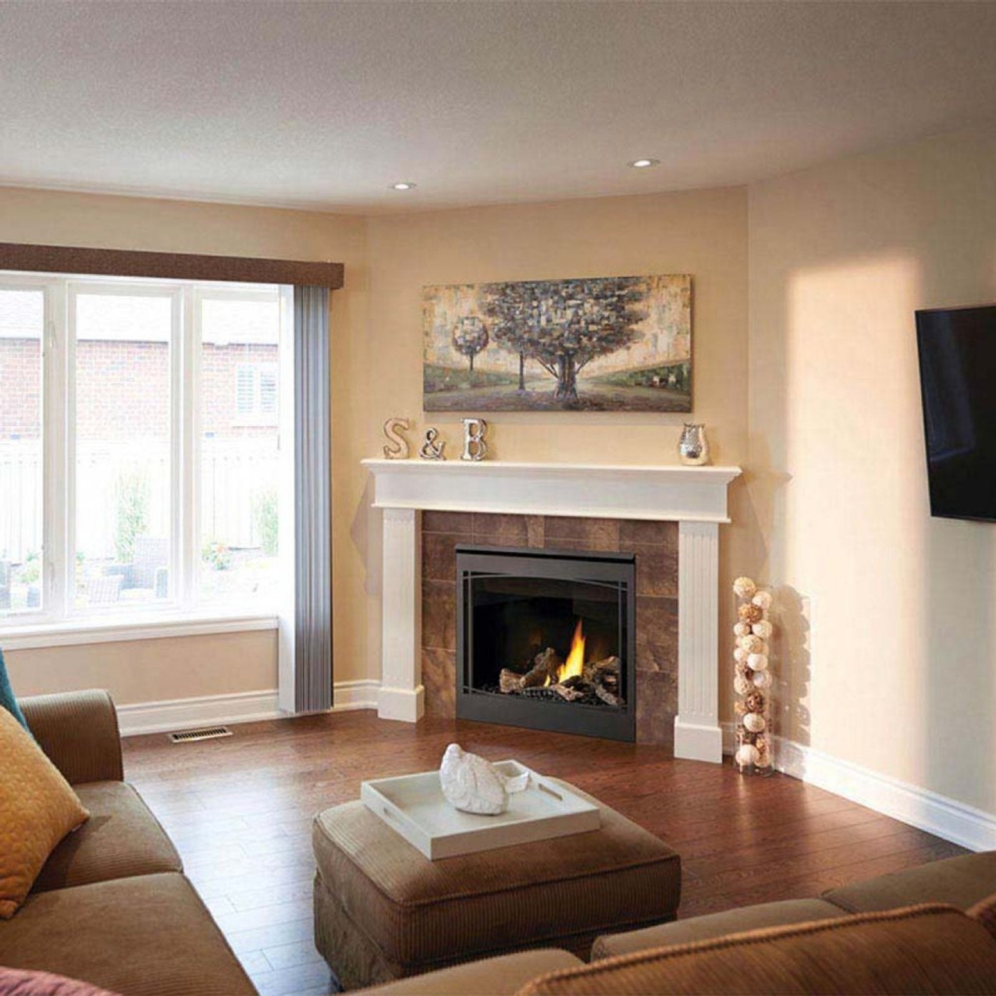 Napoleon Ascent 36 35-Inch Direct Vent Electronic Ignition Fireplace [BX36N/PTRE] (SAK75982)