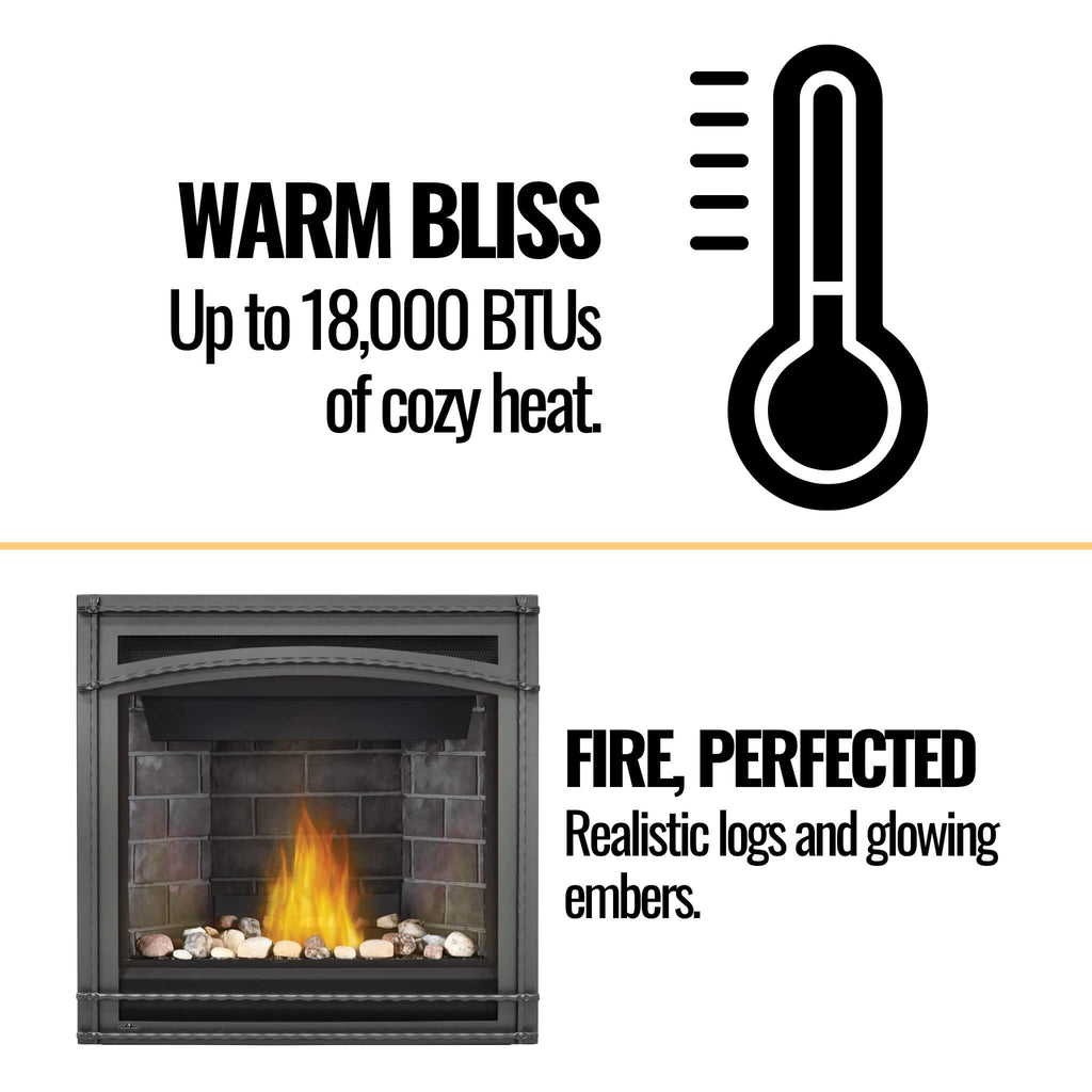 Napoleon Ascent 36 35-Inch Direct Vent Millivolt Ignition Fireplace [B36N/PTR-1] (SAK85316)