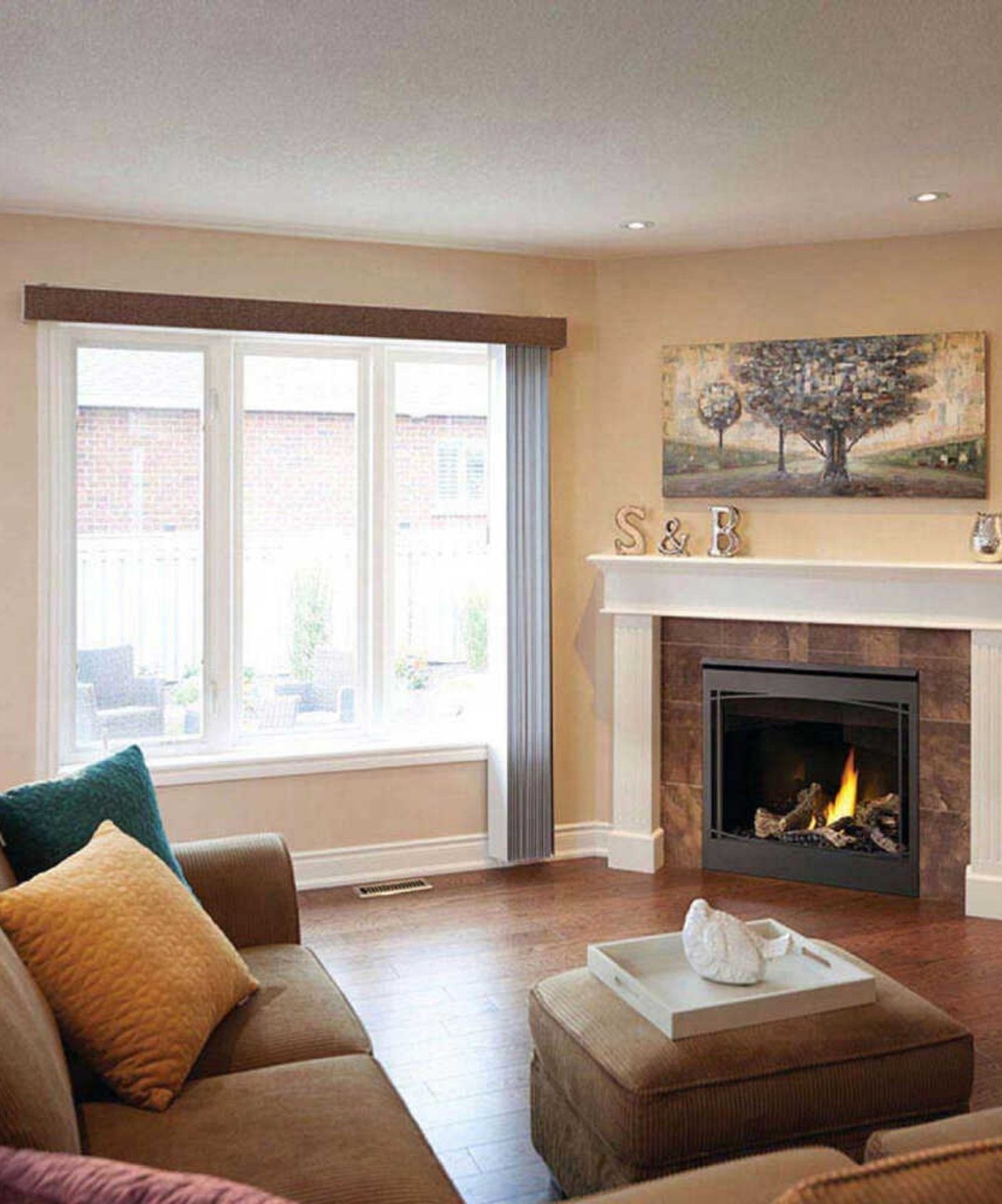 Napoleon Ascent 36 35-Inch Direct Vent Millivolt Ignition Fireplace [B36N/PTR-1] (SAK85316)