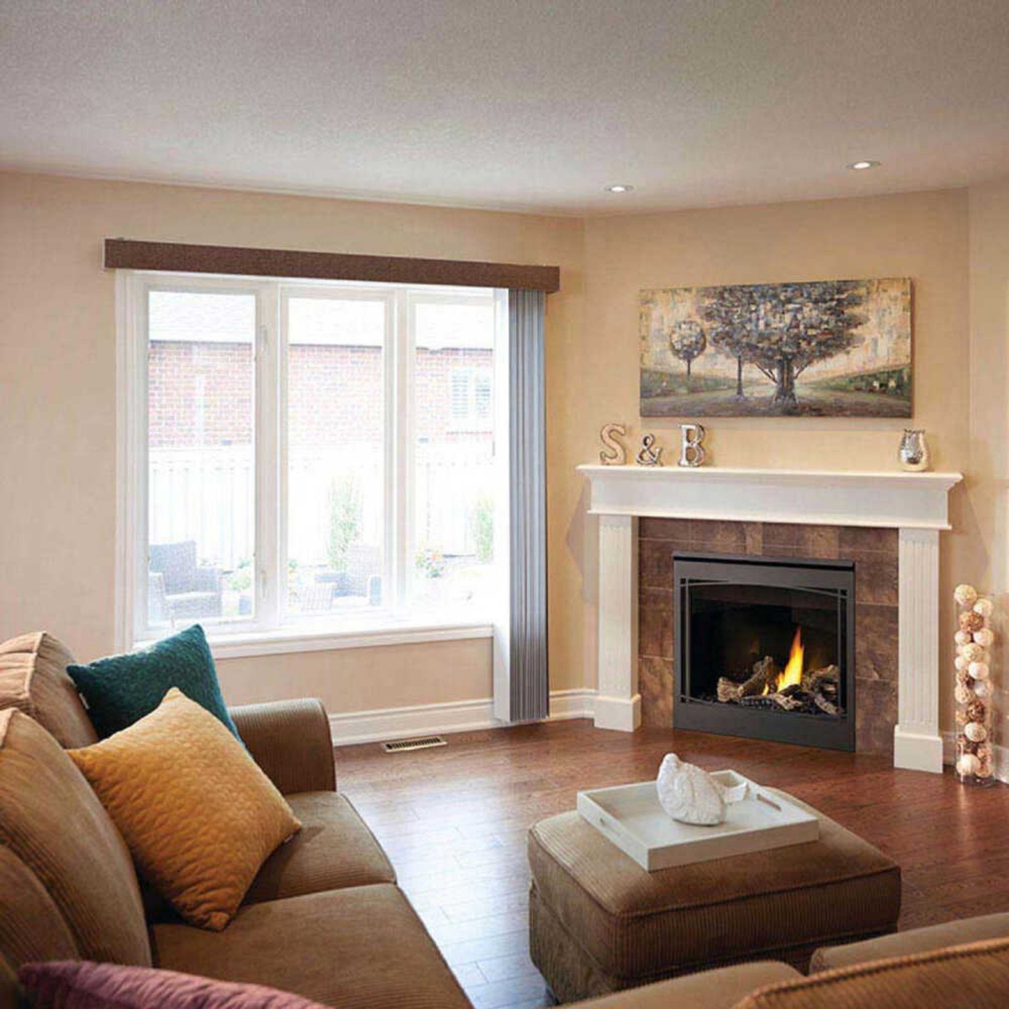 Napoleon Ascent 36 35-Inch Direct Vent Millivolt Ignition Fireplace [B36N/PTR-1] (SAK85316)