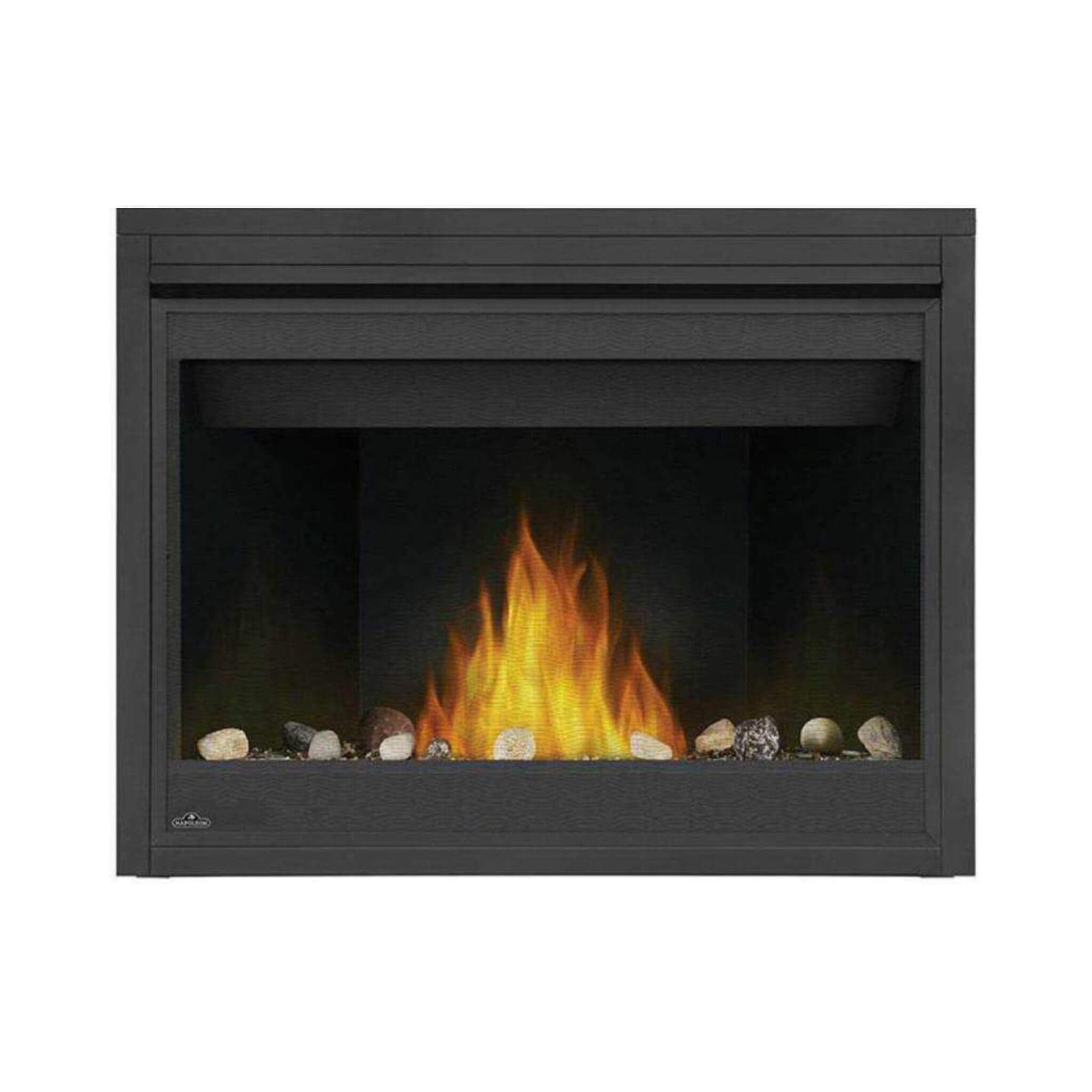 Napoleon Ascent 42 Direct Vent Millivolt Ignition Propane Gas Fireplace [B42N/PTR] (SAK91456)