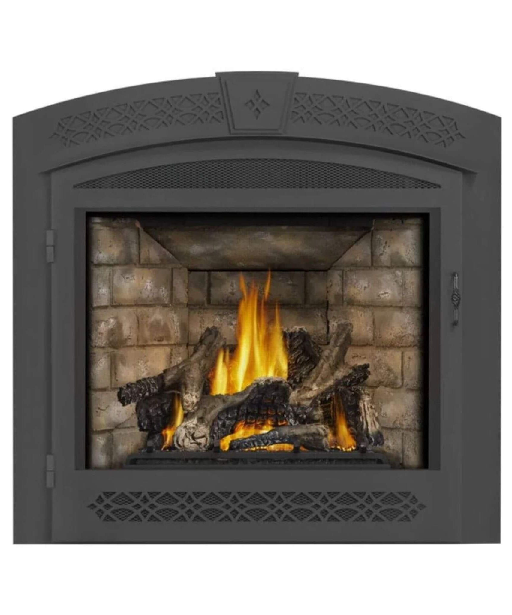 Napoleon Ascent 70 35-Inch Direct Vent Electronic Ignition Fireplace [GX70PTE/NTE-1] (SAK14829)