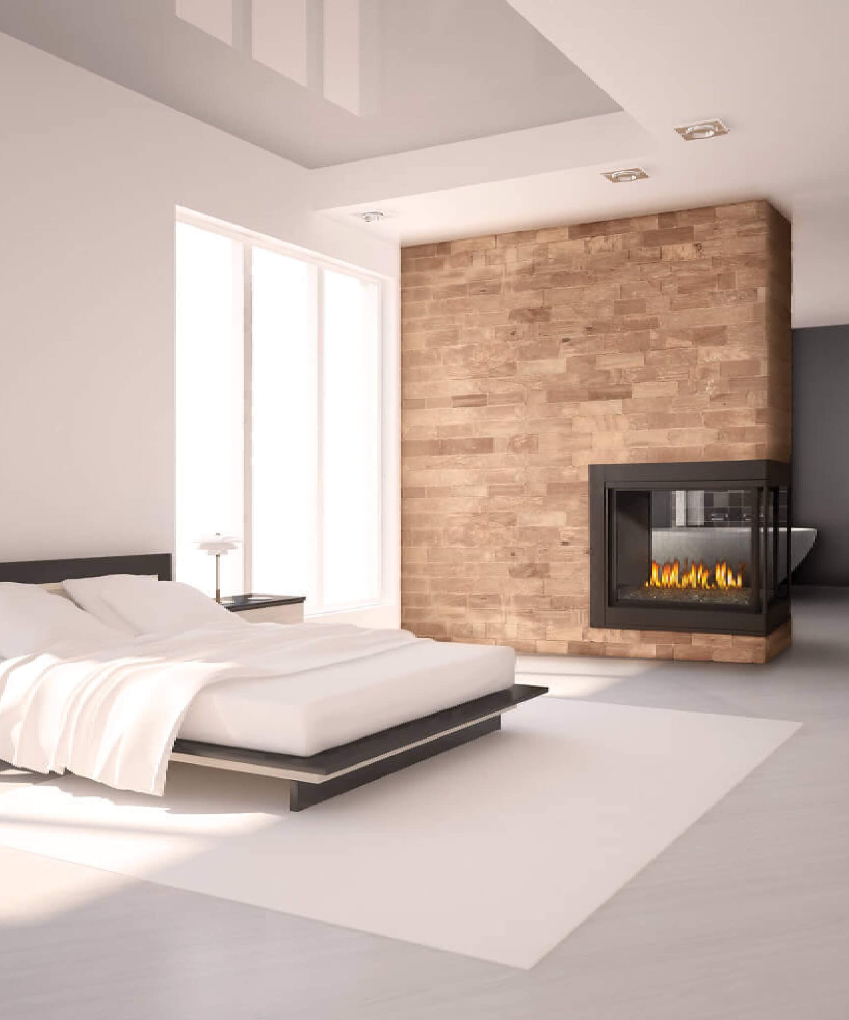 Napoleon Ascent Multi-View 3-Sided Log Set Direct Vent Natural Gas Fireplace [BHD4PNA] (SAK75492)